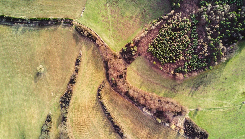 Photographie aérienne de ferme