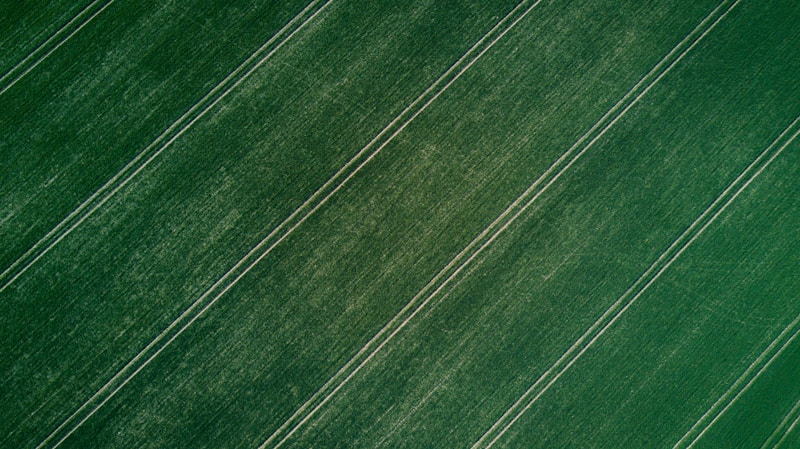 Textured Crop