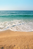 seashore under clear blue sky during daytime