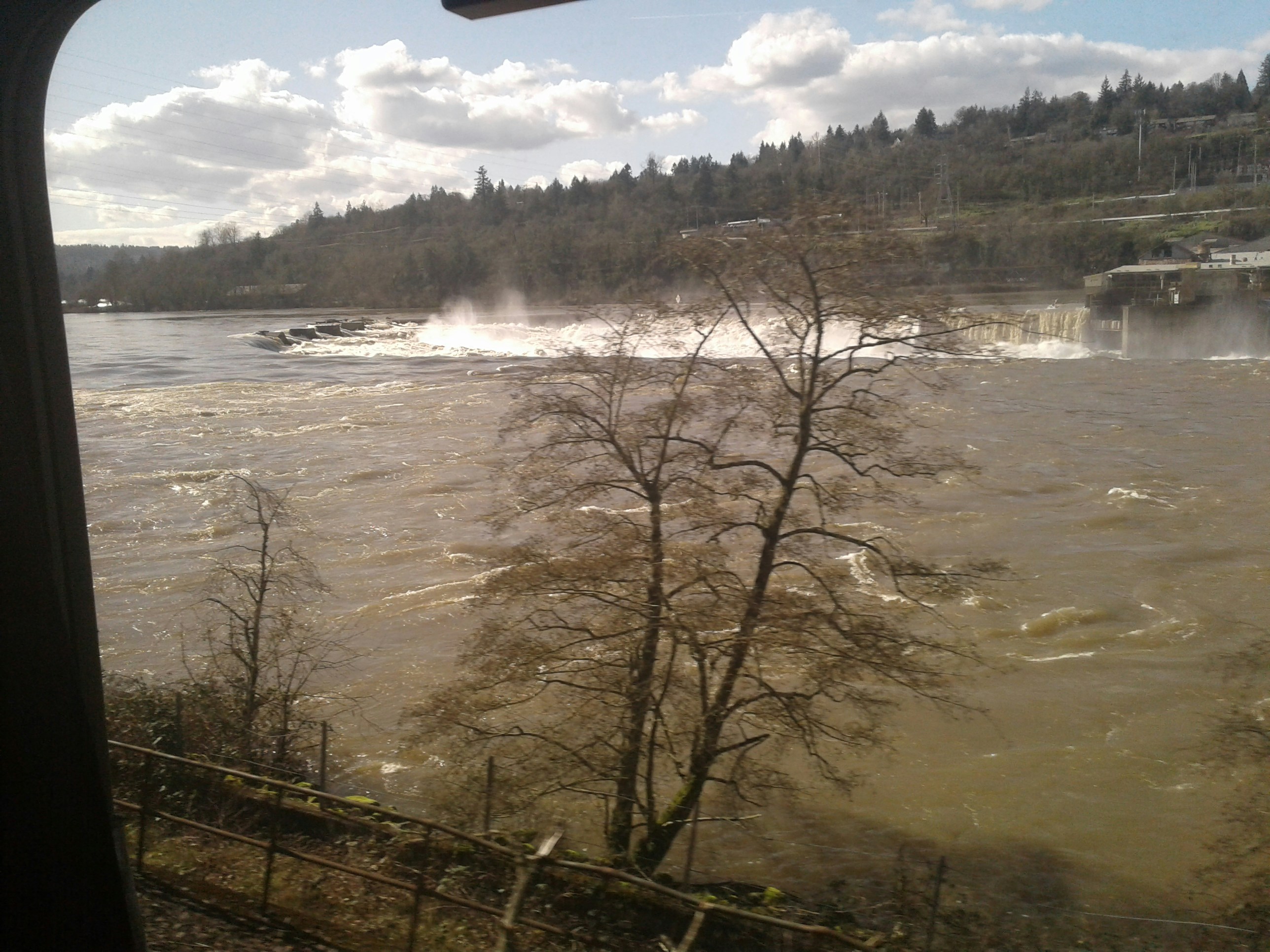 Free Unsplash photo from Olivia Thorne