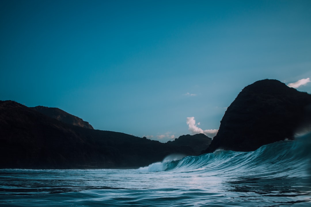 Surfing photo spot Piha Warkworth