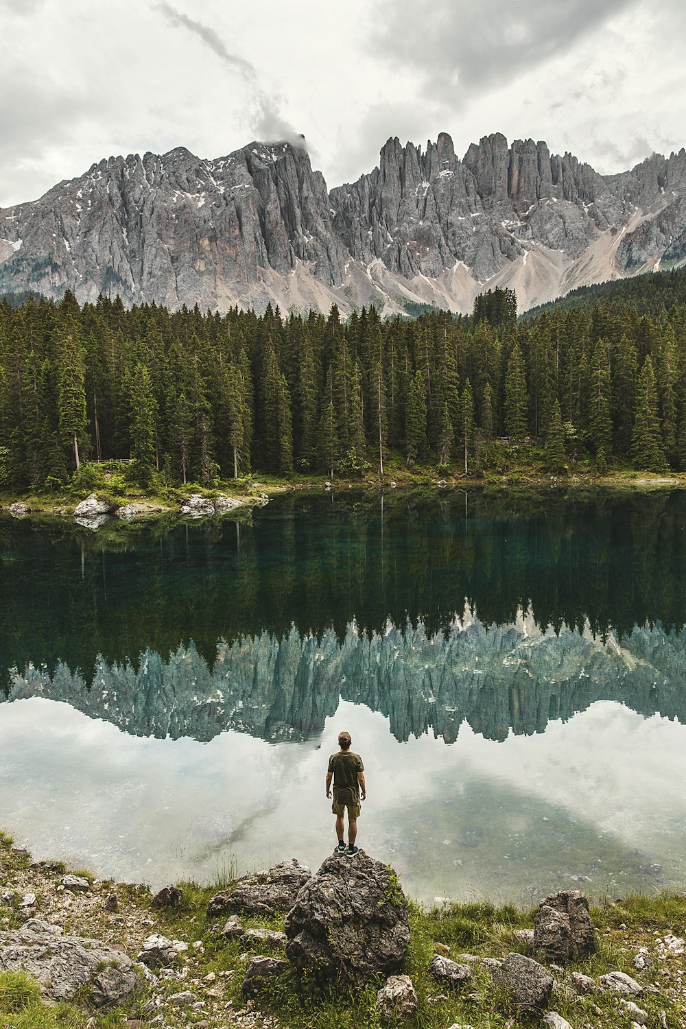 person standing on cliff in front of forest