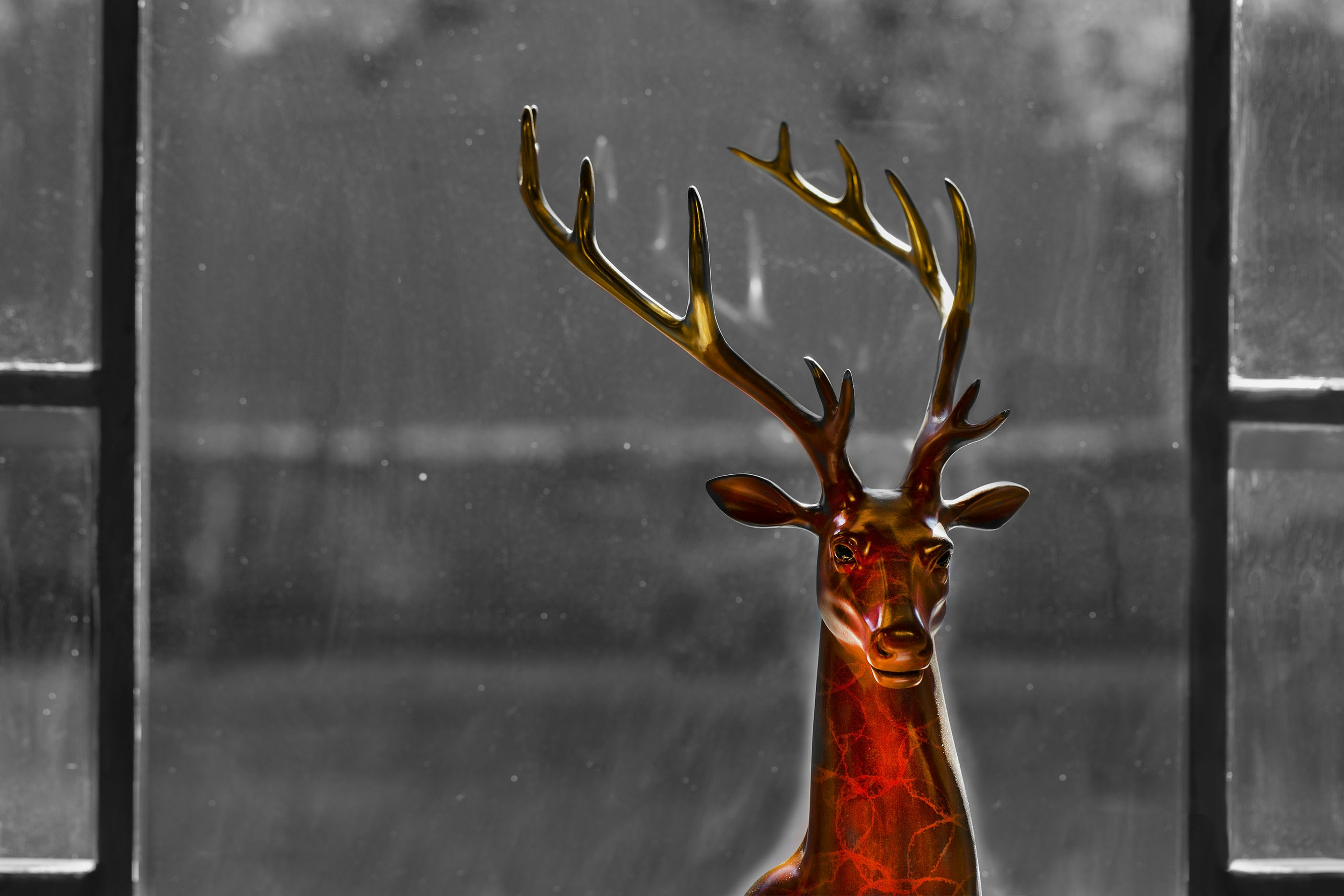 Free Unsplash photo from can shengli