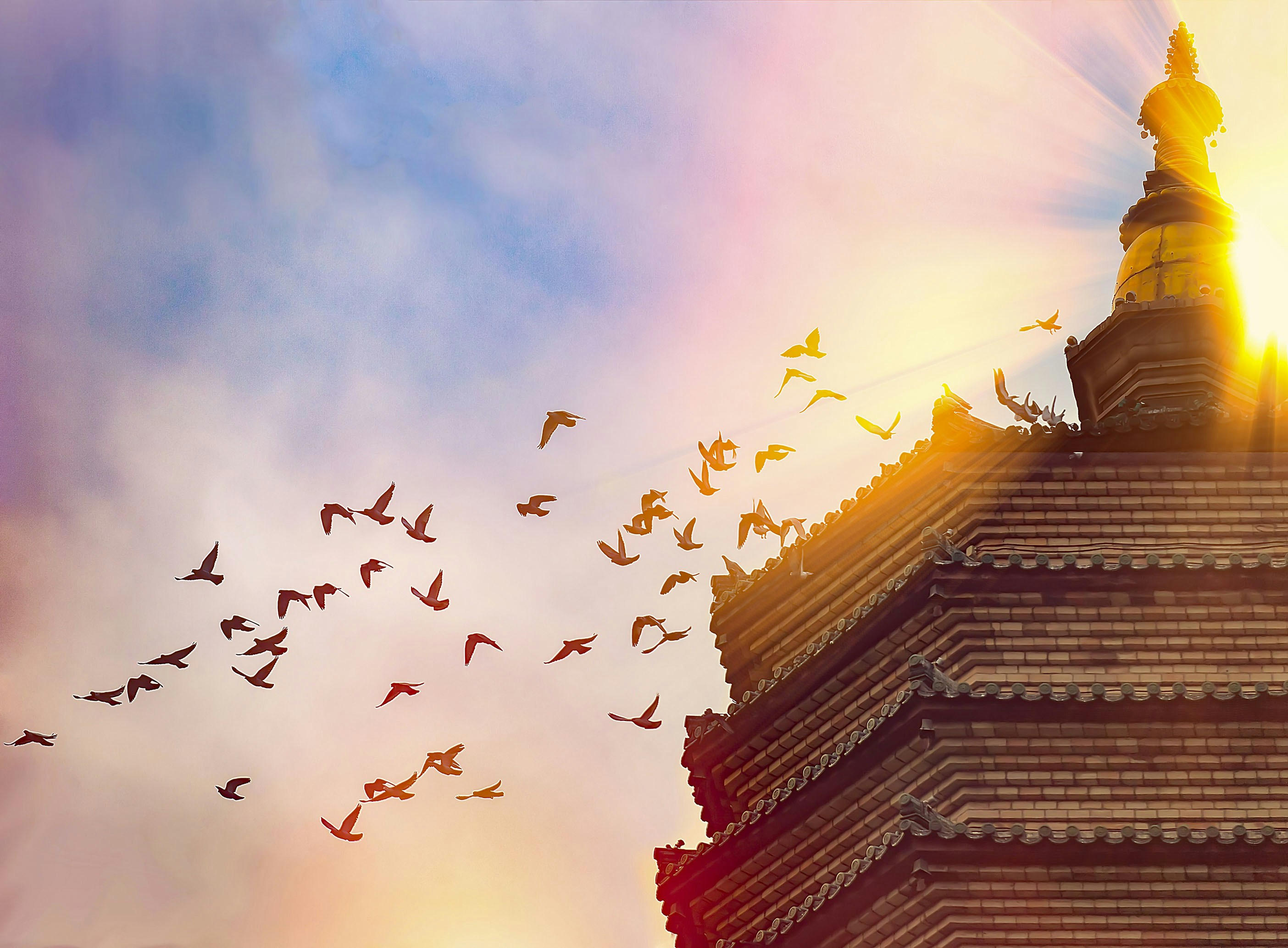 Free Unsplash photo from can shengli