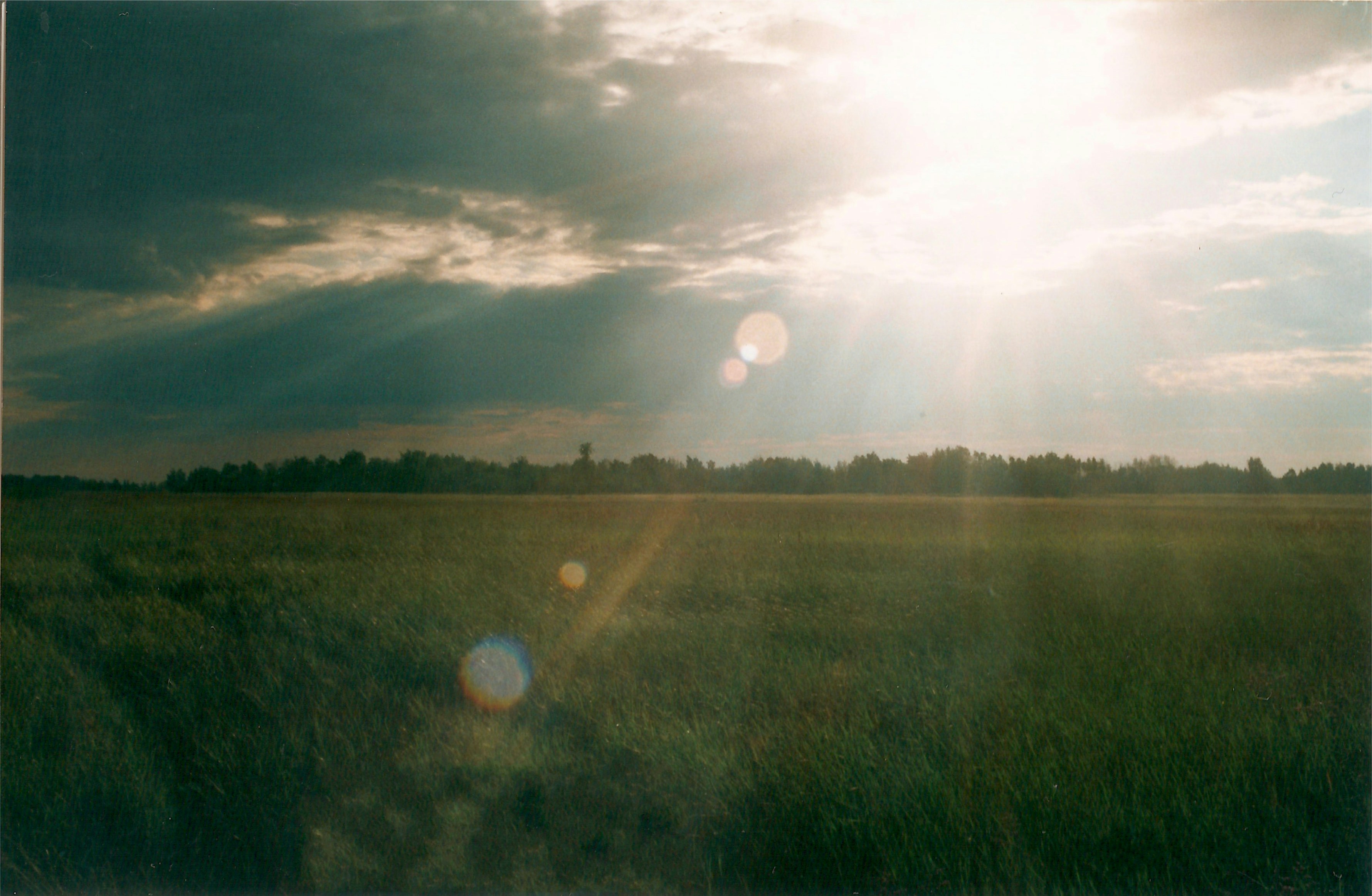 Free Unsplash photo from Anton Shvein