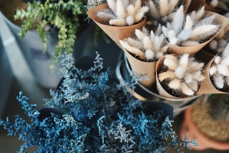 A collection of delicate, fluffy cotton-like plants are arranged in brown paper cones atop a surface. Adjacent to these are blue and green foliage, creating a contrasting texture and color palette.