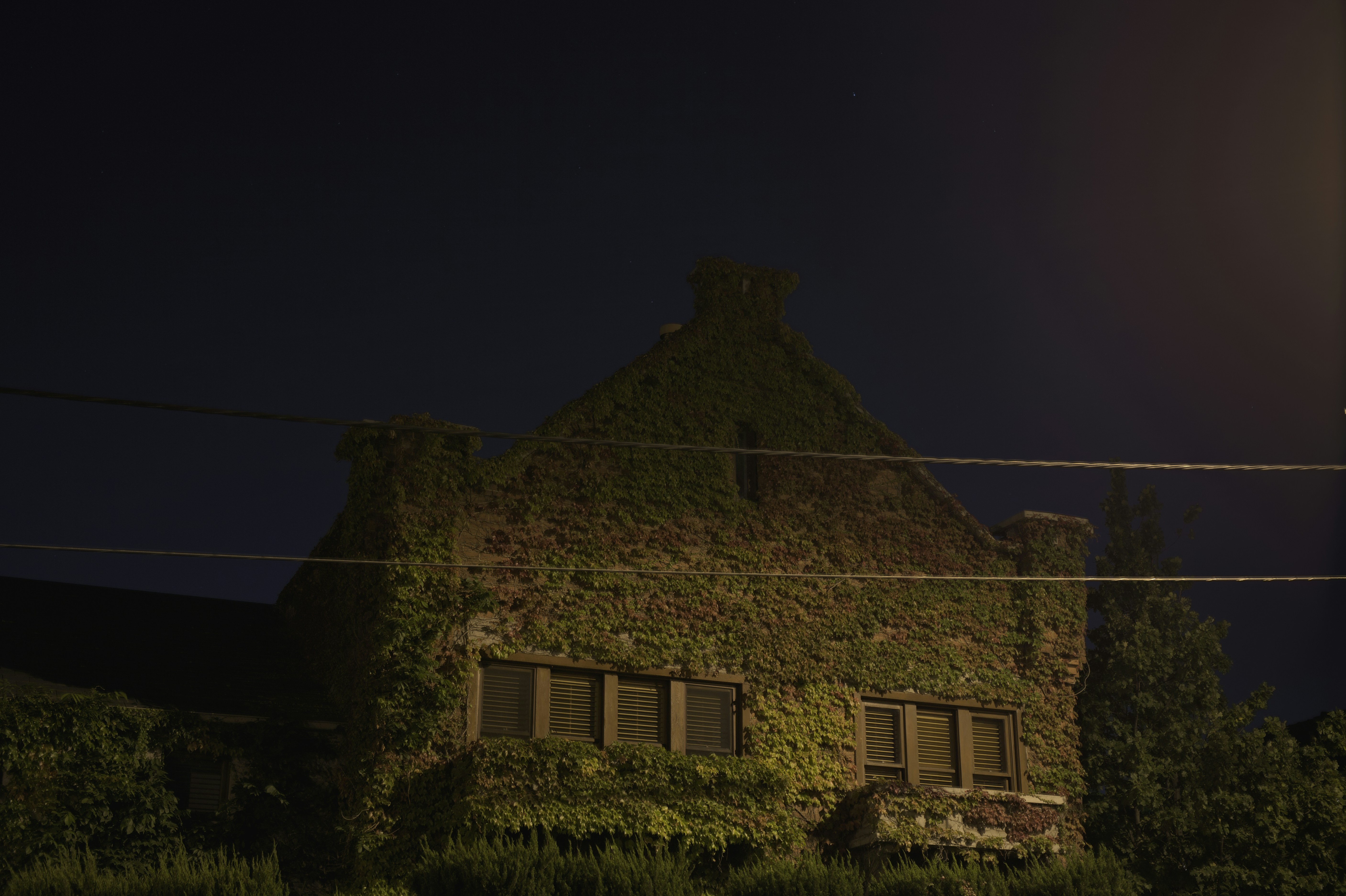 Free Unsplash photo from Alexander Possingham