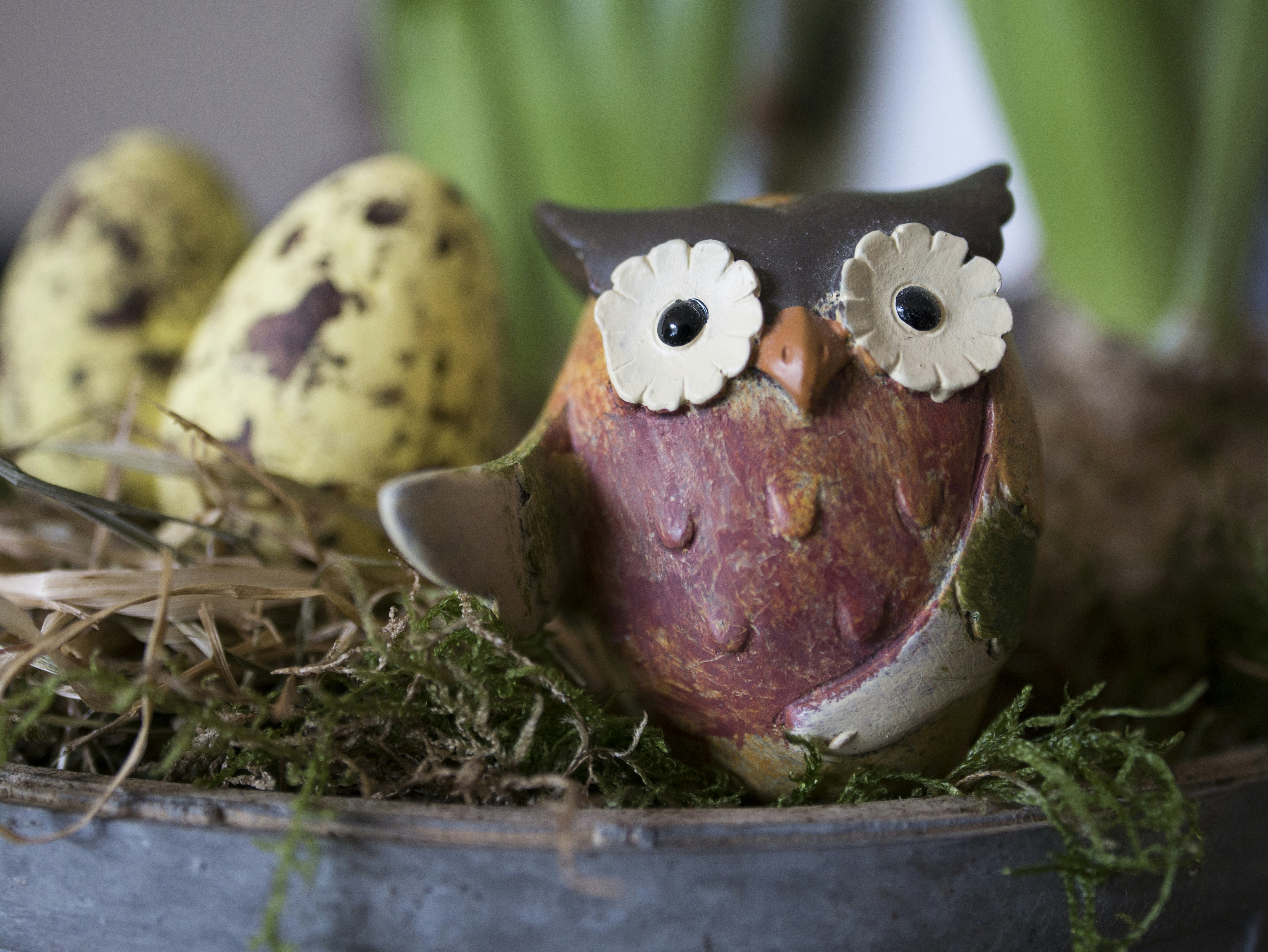 Free Unsplash photo from Maurice Smeets