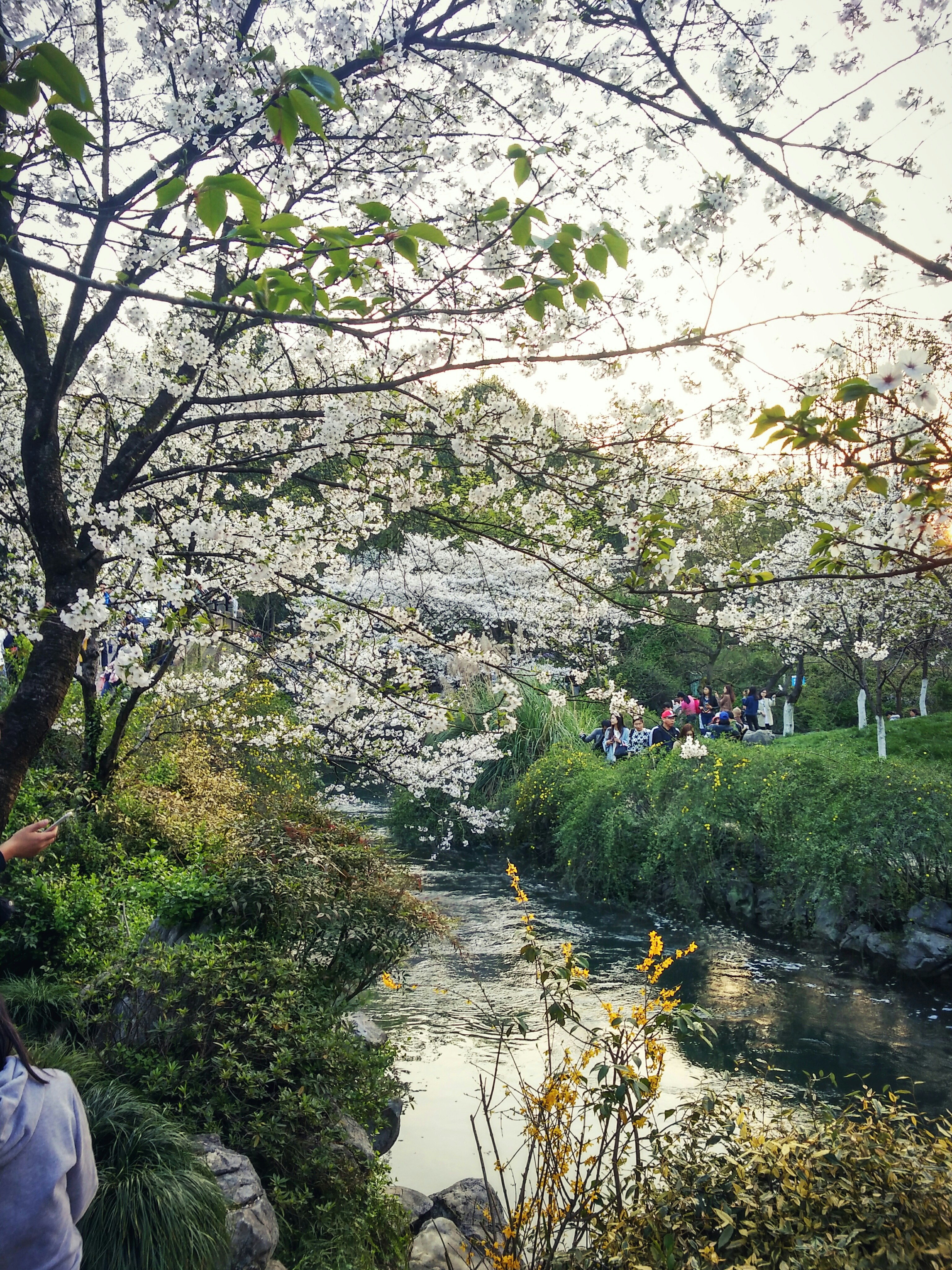 Free Unsplash photo from Matt Fang