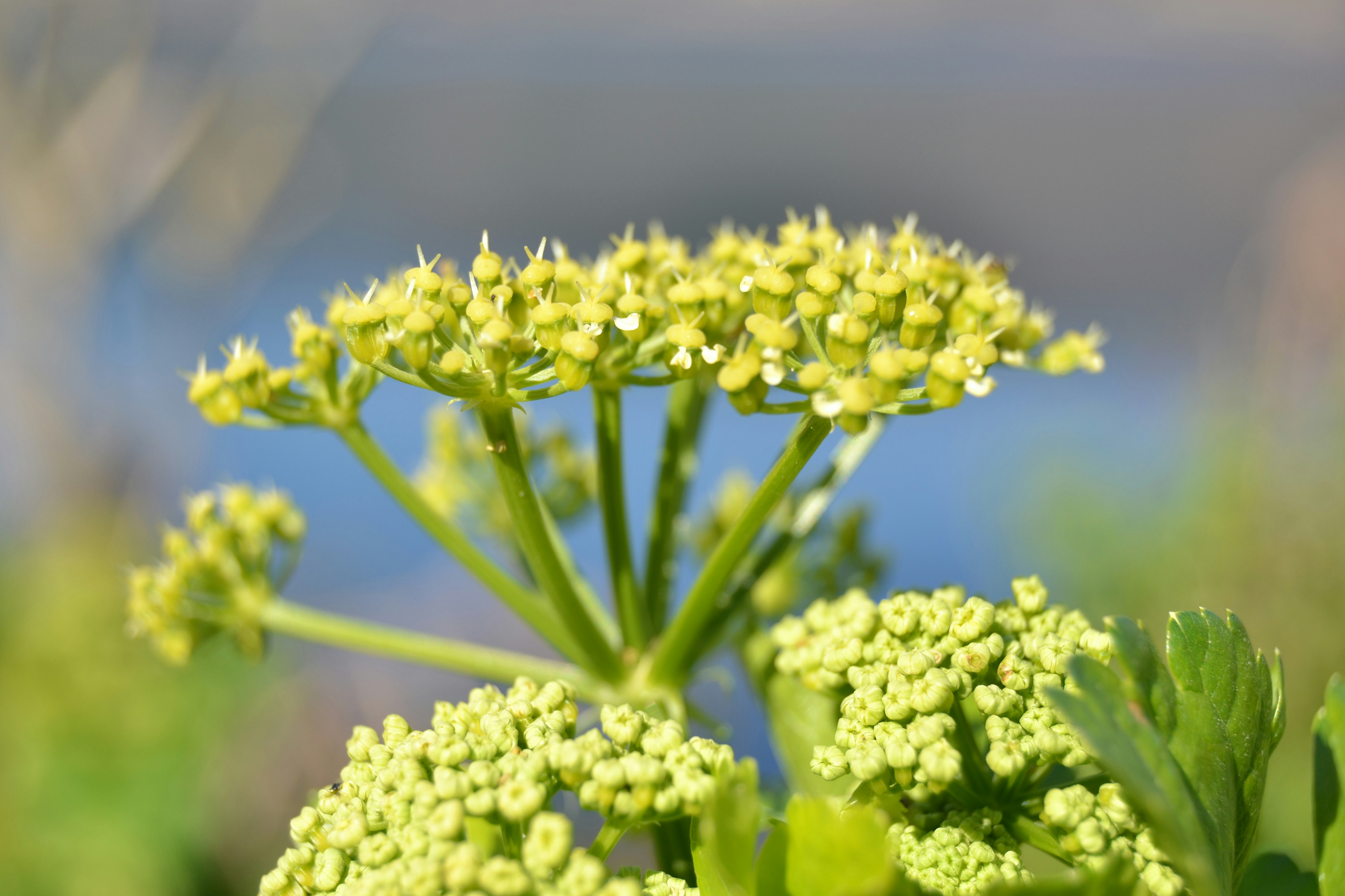 Free Unsplash photo from Simone Silvestrini