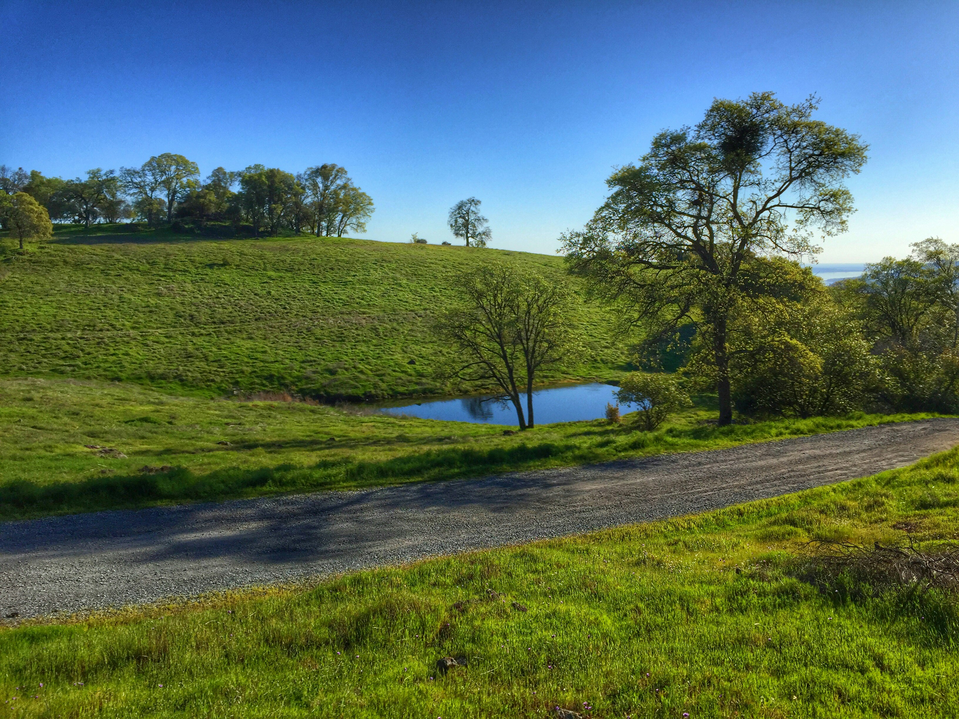 Free Unsplash photo from sd winter