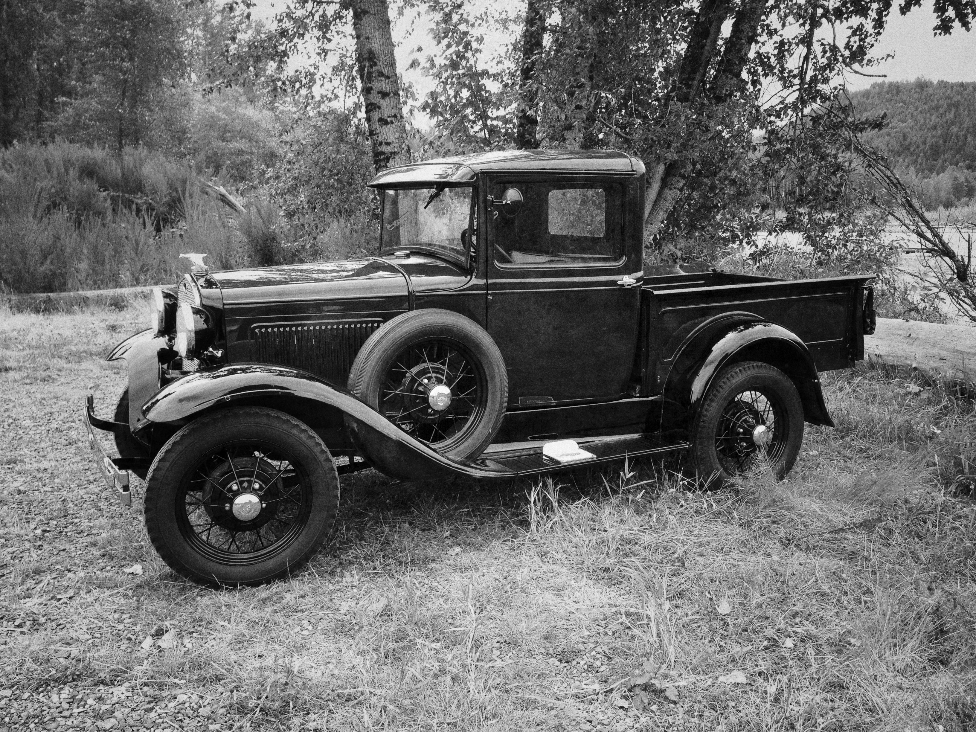 Free Unsplash photo from sd winter