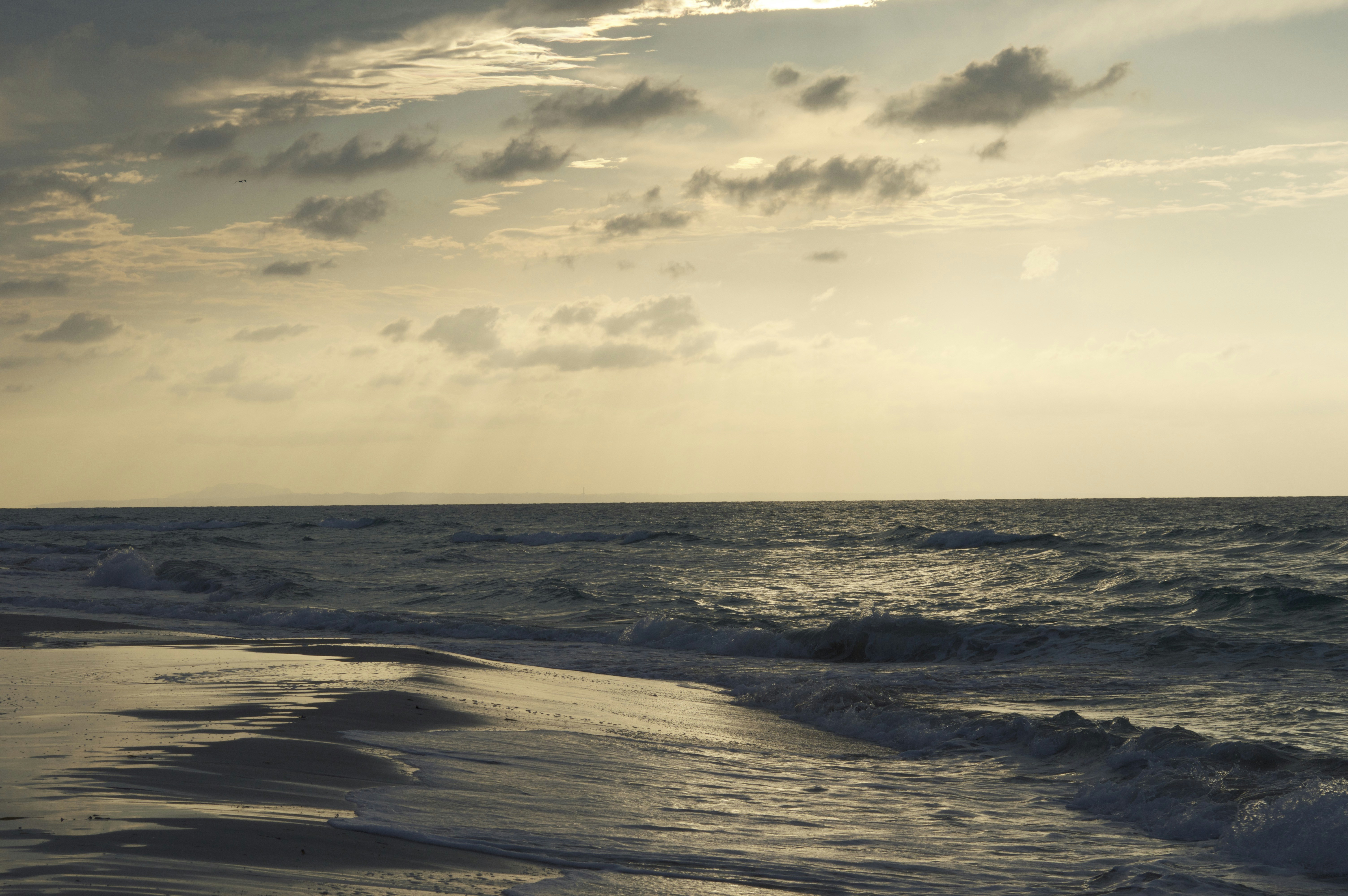 Free Unsplash photo from Judith Grippeling