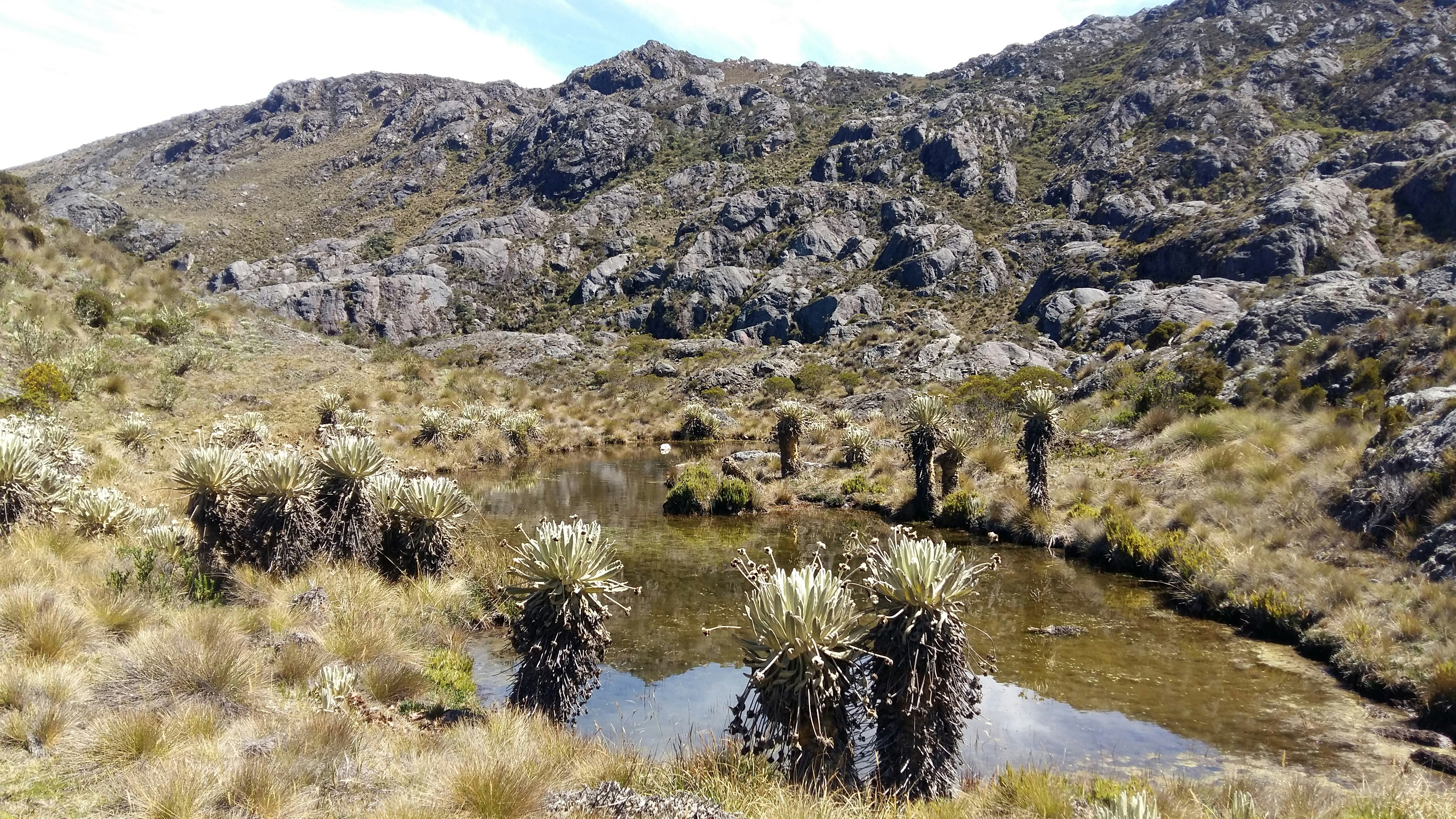 Free Unsplash photo from Pablo M