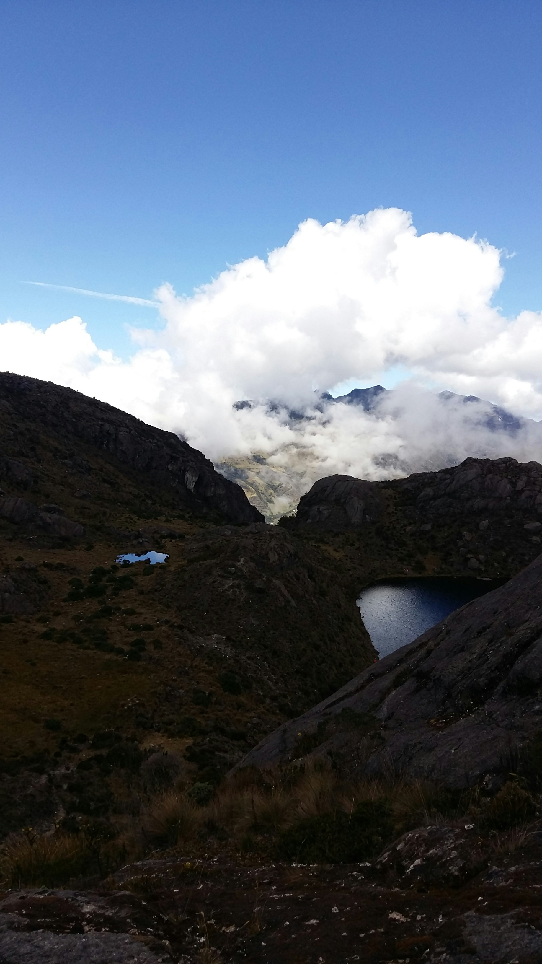 Free Unsplash photo from Pablo M