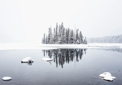 A snowy, secluded island in Canada surrounded by icy waters and tall pine trees.