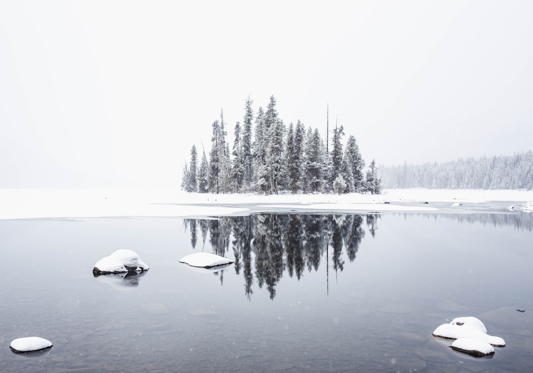 Lake photo spot Lake Wenatchee Rattlesnake Lake