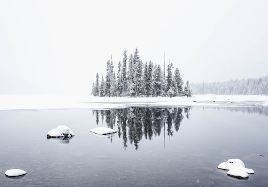Lake Wenatchee things to do in Leavenworth