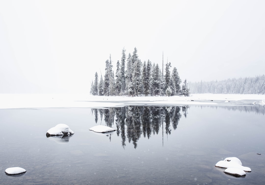 snowfield and body of water, The reflection of the trees on the lake and soft white tones reminds me of a romantic winte