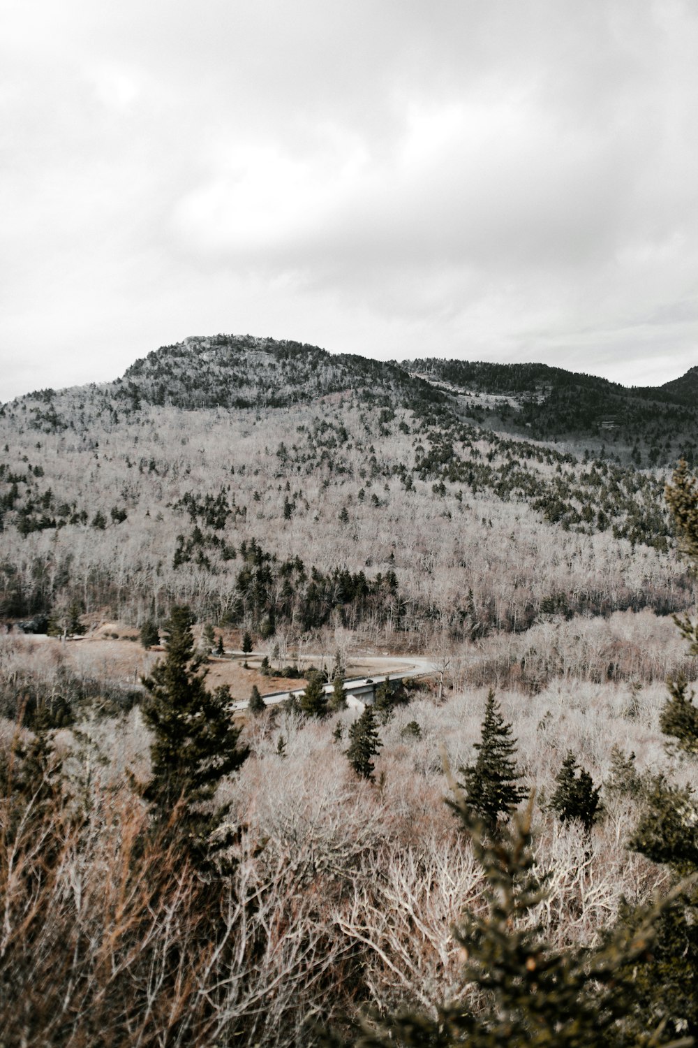 Vista de montañas con árboles