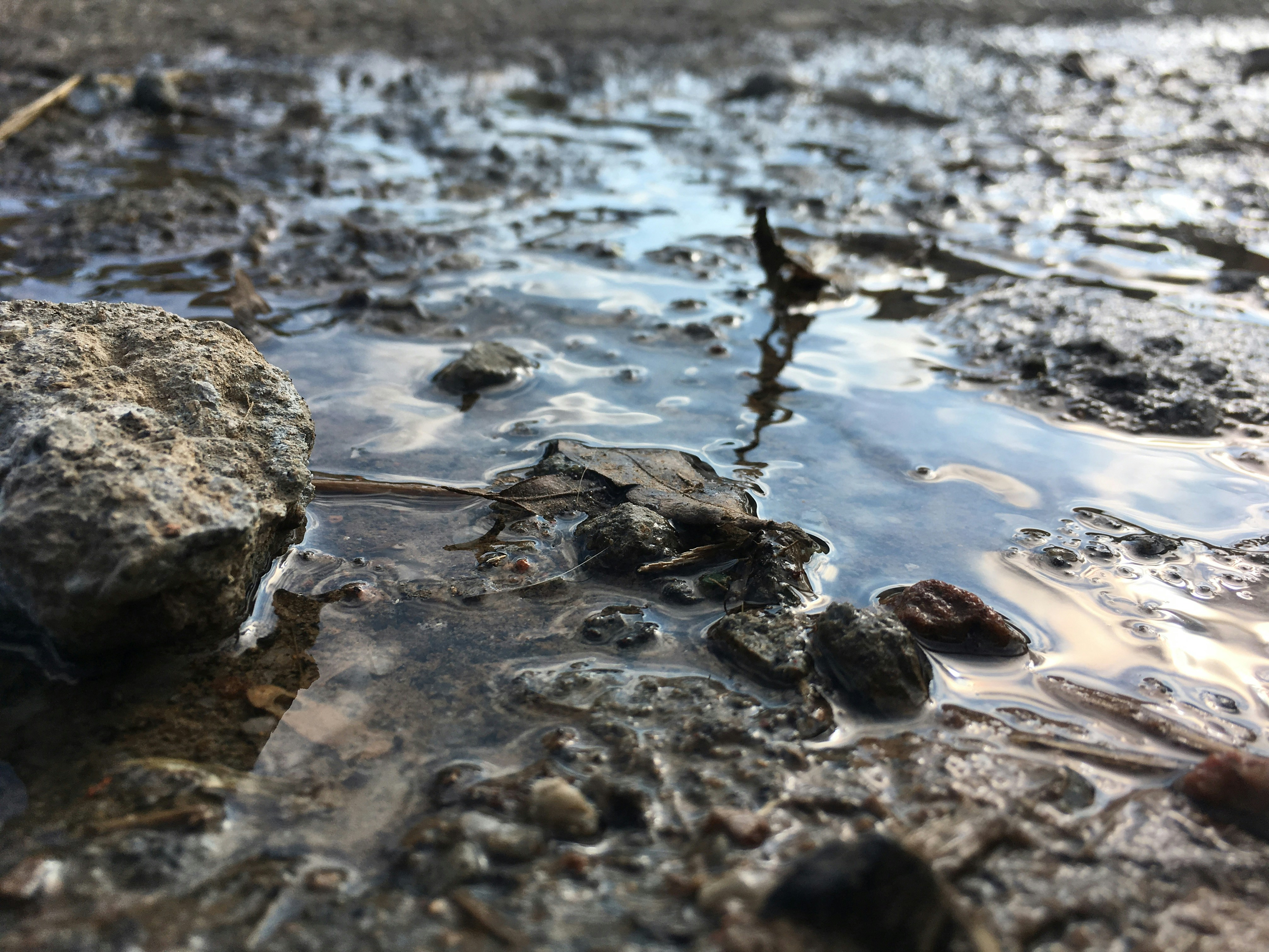 Free Unsplash photo from Pedro Henrique