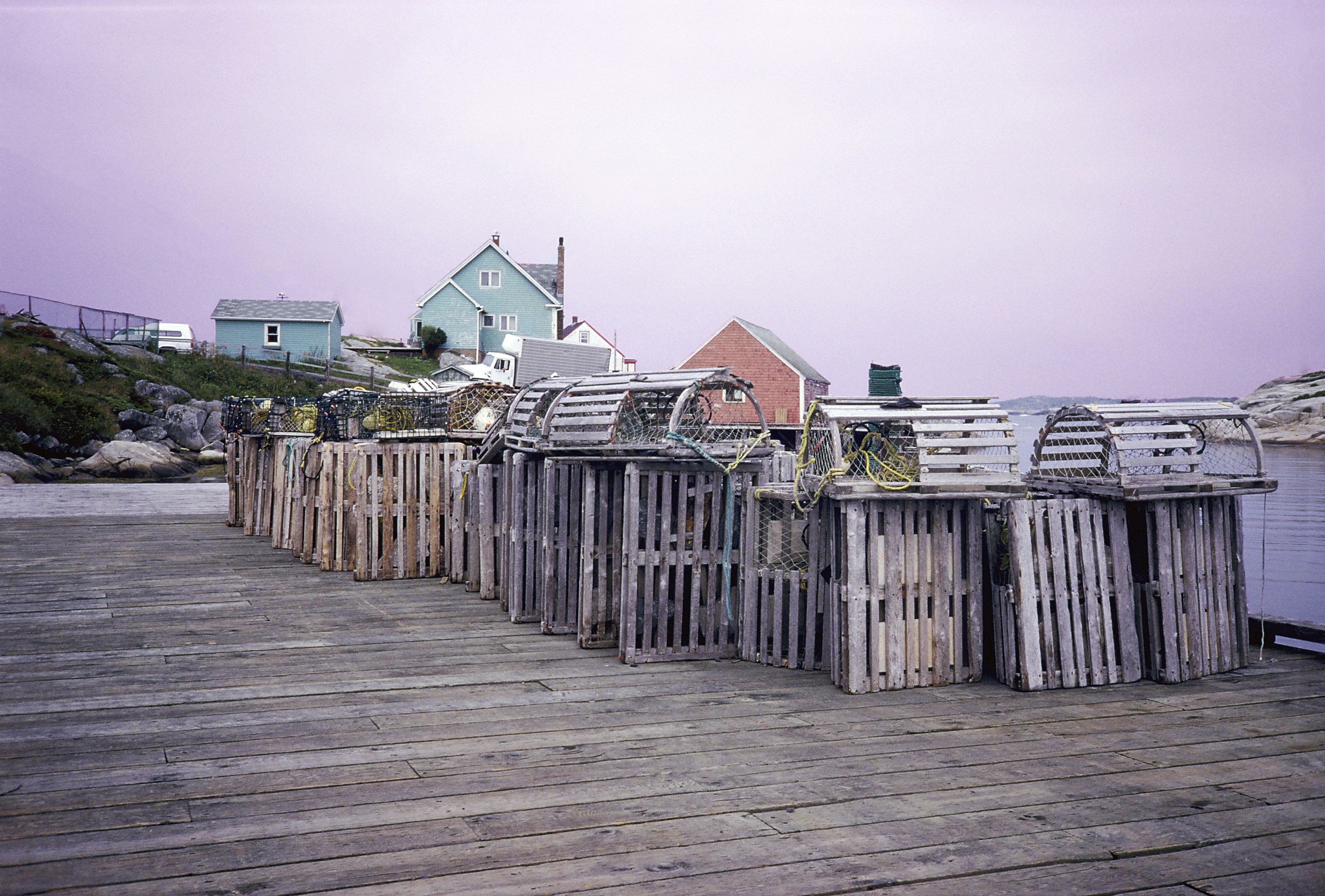 Free Unsplash photo from Harley Yee