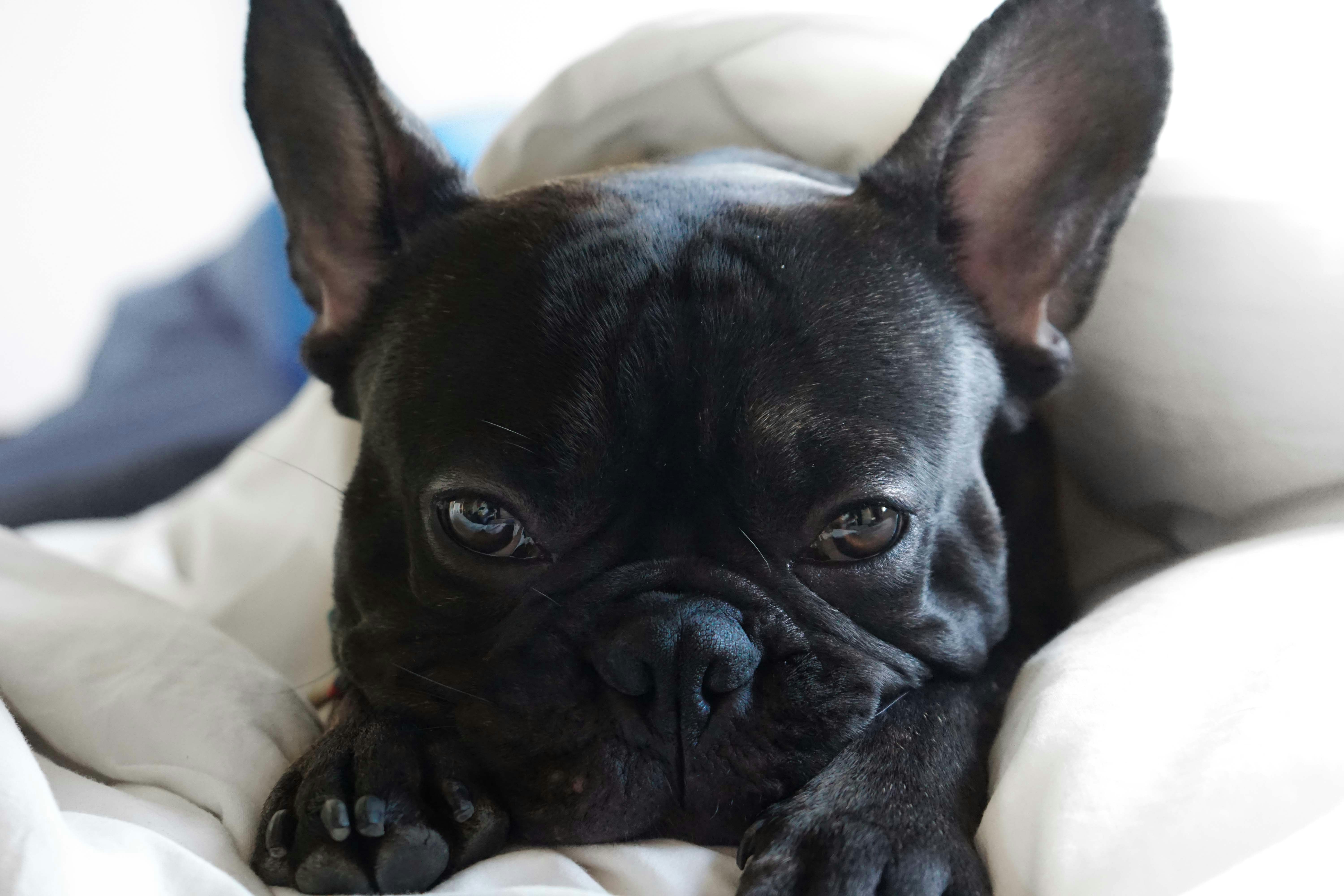 Free Unsplash photo from Juan Lizarraga