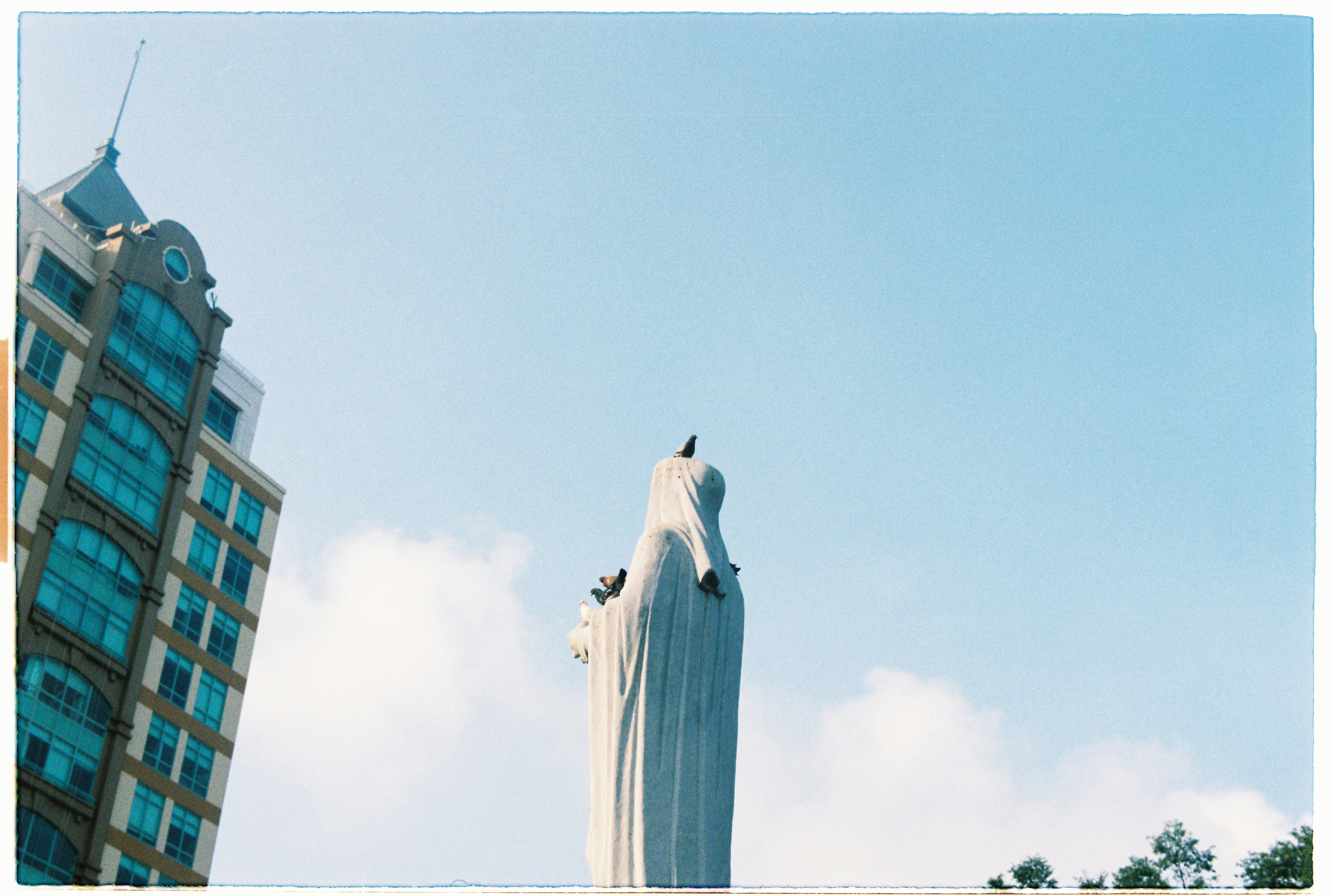 Free Unsplash photo from Gill Nguyen