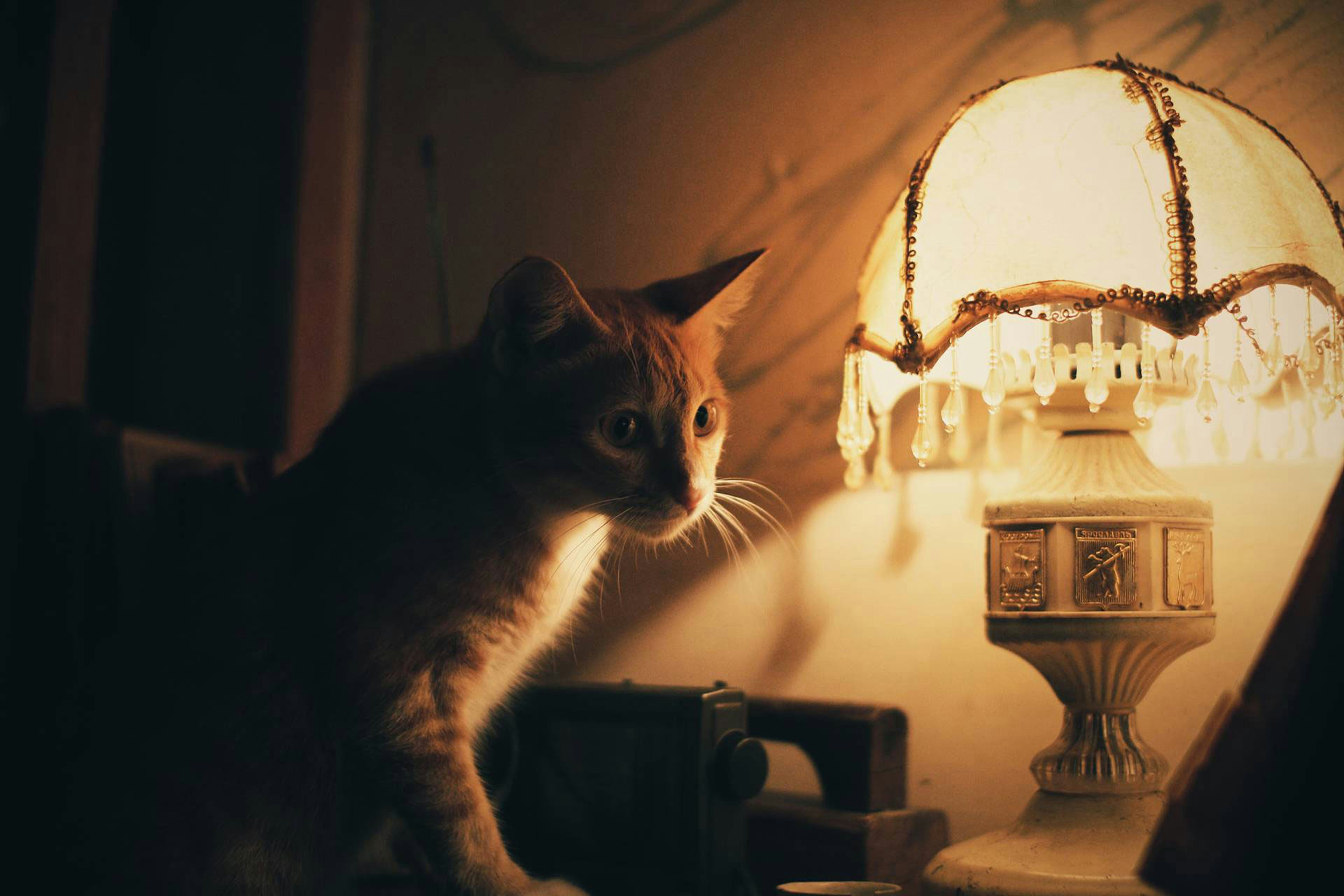 Free Unsplash photo from Linh Le