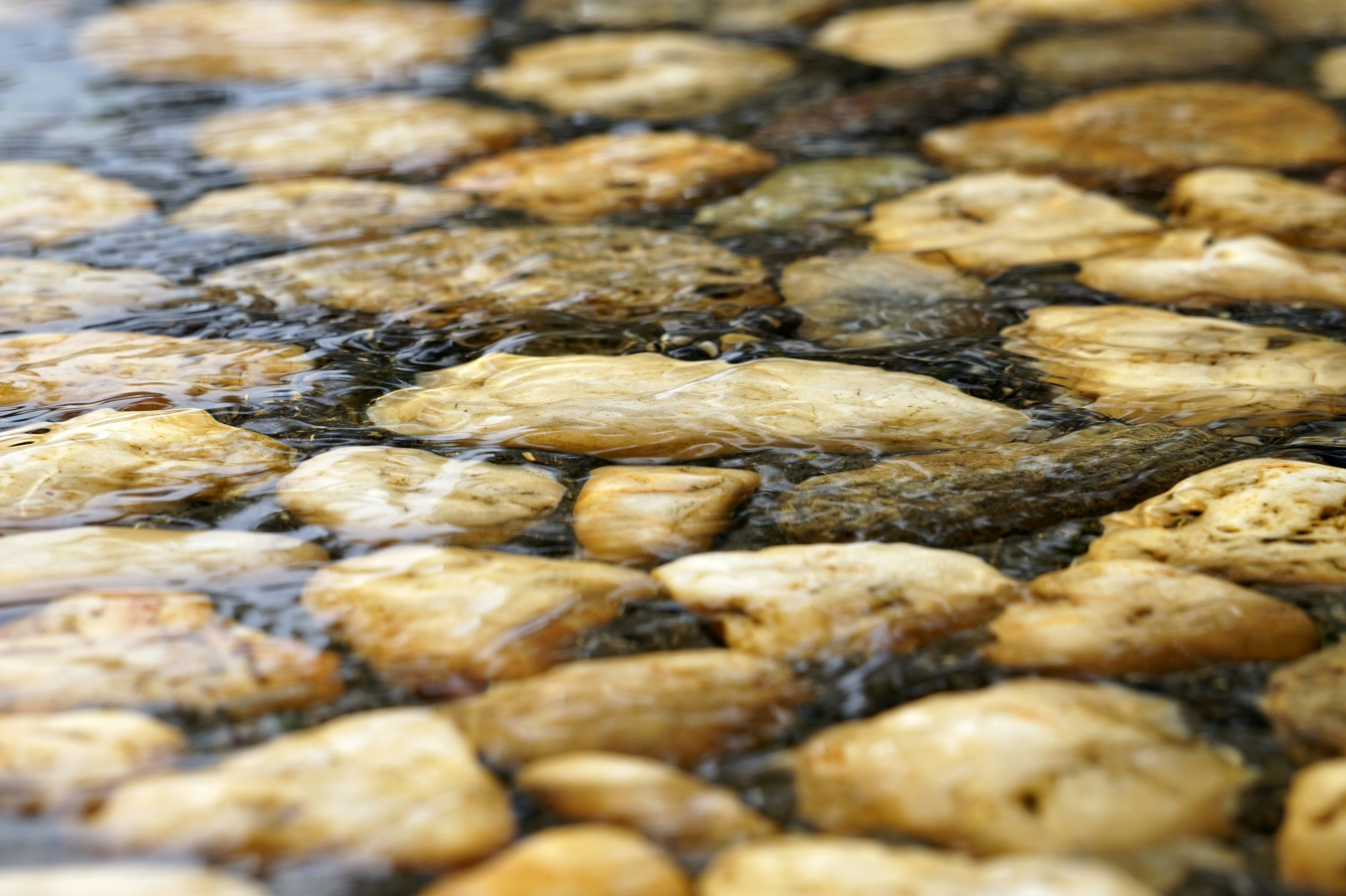 Free Unsplash photo from Olesya Grichina