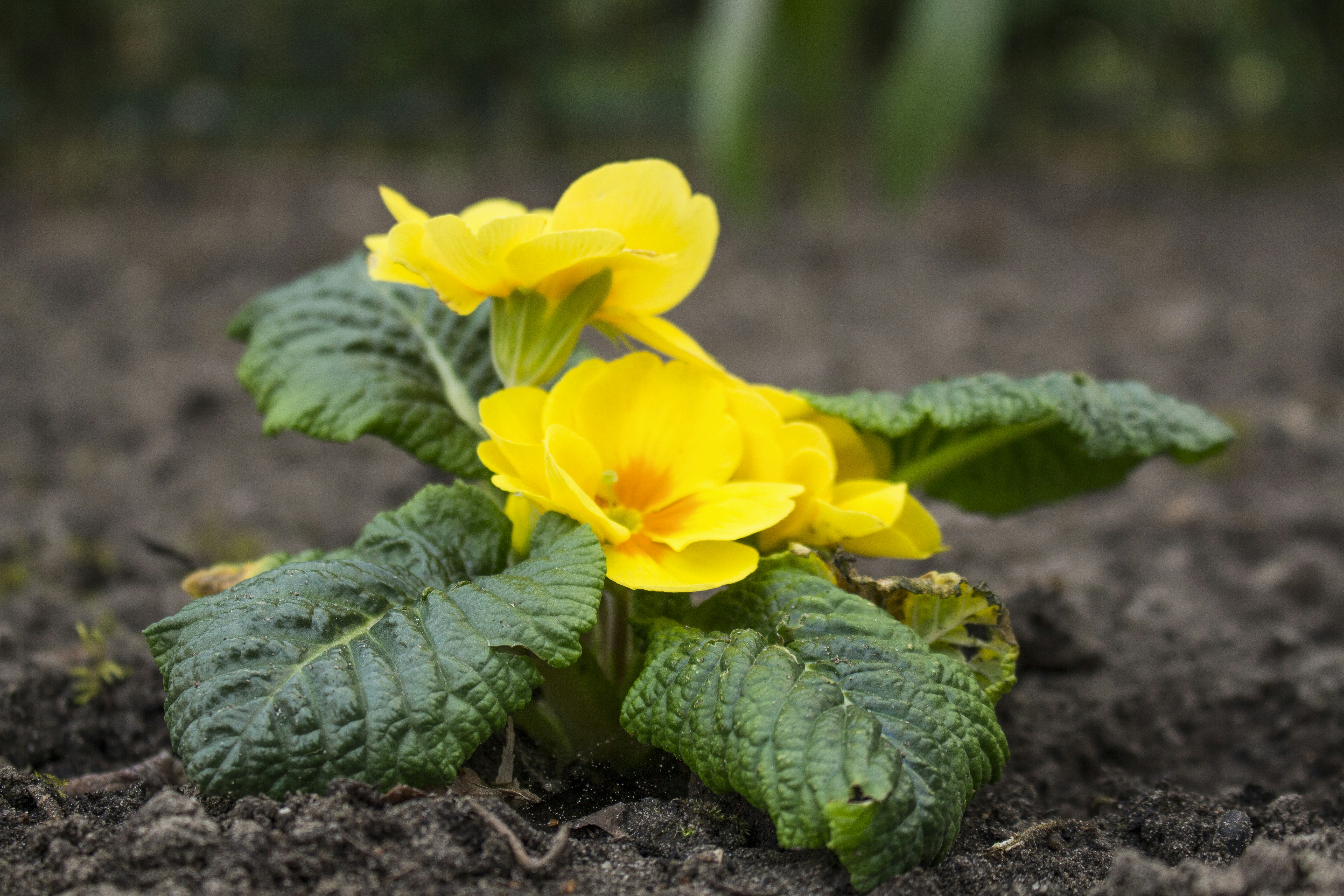 Free Unsplash photo from Torben Dartsch