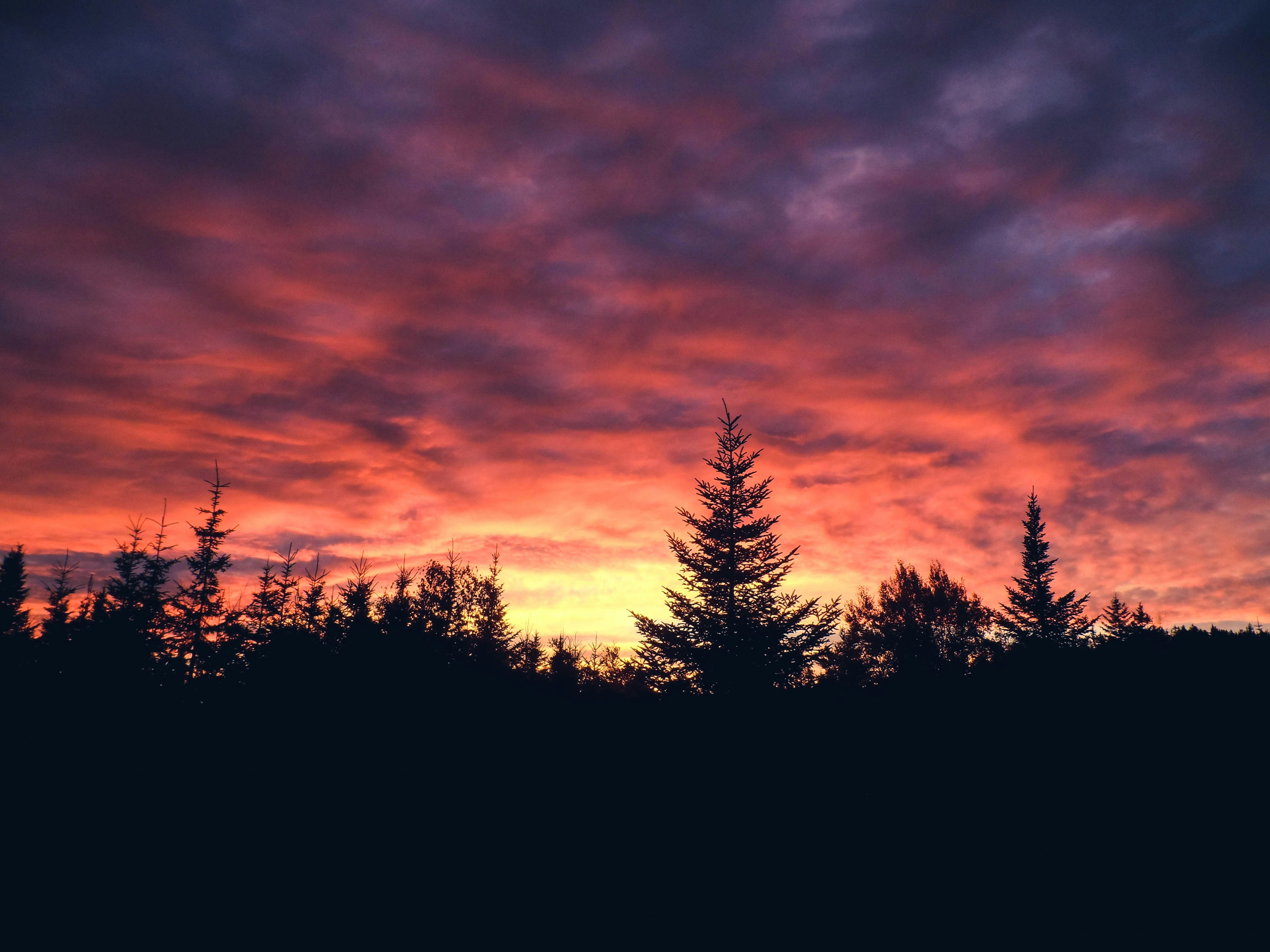 Free Unsplash photo from Áron Varga