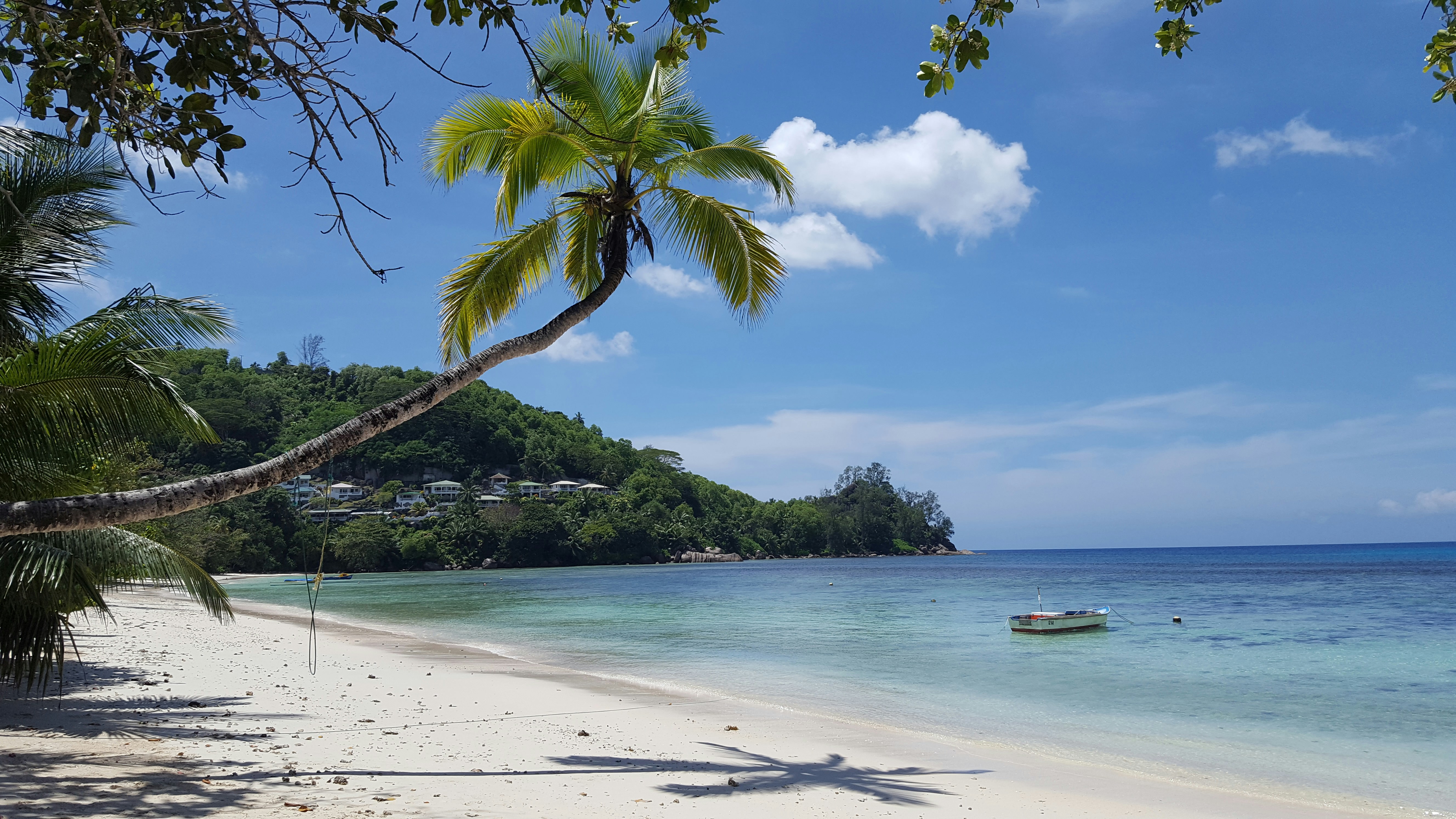 Free Unsplash photo from Markus Hennicken