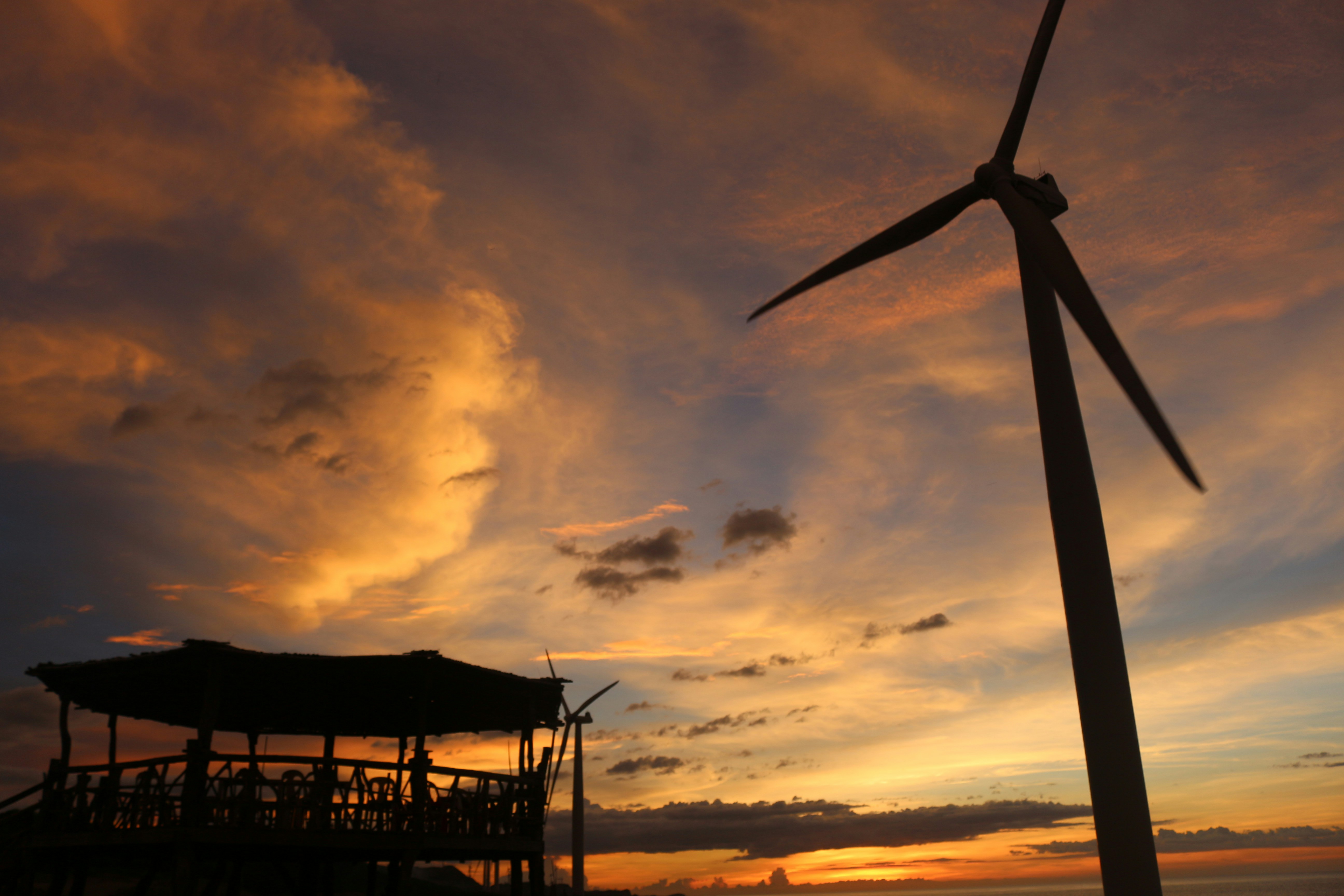 Free Unsplash photo from Alea Rezelle Salting