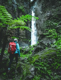 person walking towards waterfall at daytime