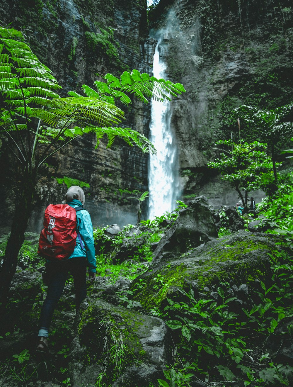 person walking towards waterfall at daytime