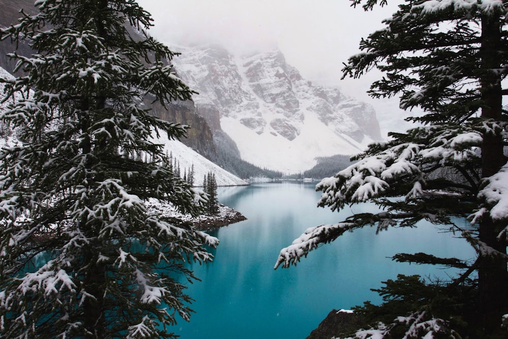 landscape photo of lake near gray snowy mountains