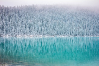 Infrastructure developed for the 2018 Winter Olympics