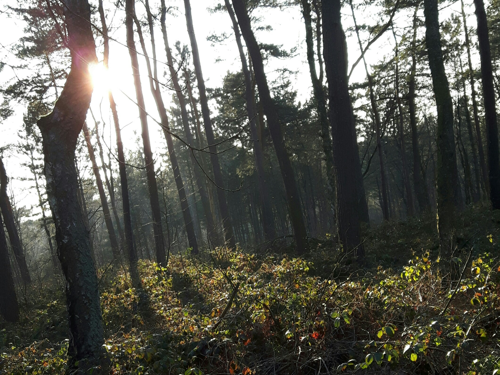 Free Unsplash photo from Graf Glänzer