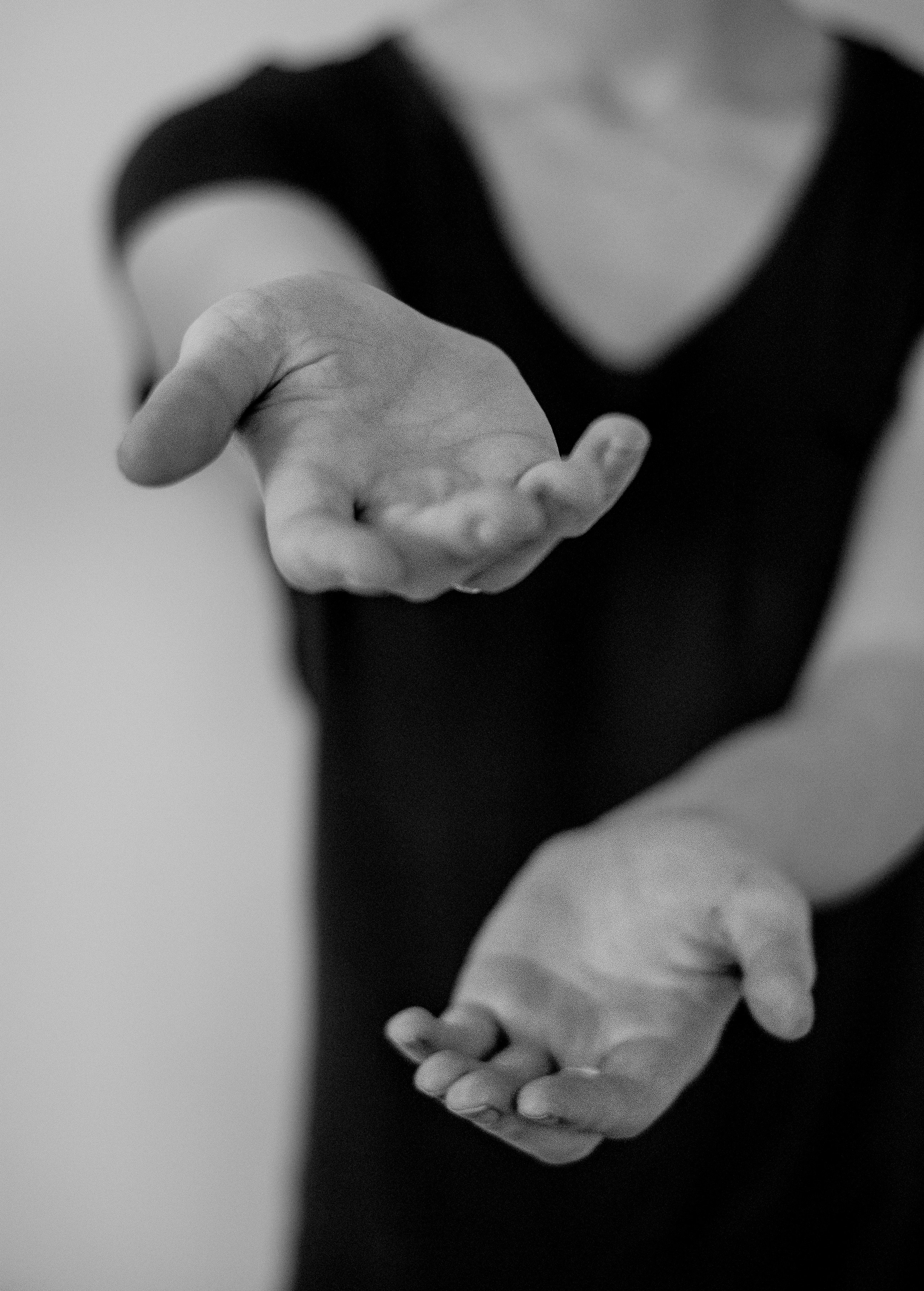 Free Unsplash photo from Shay Carlson