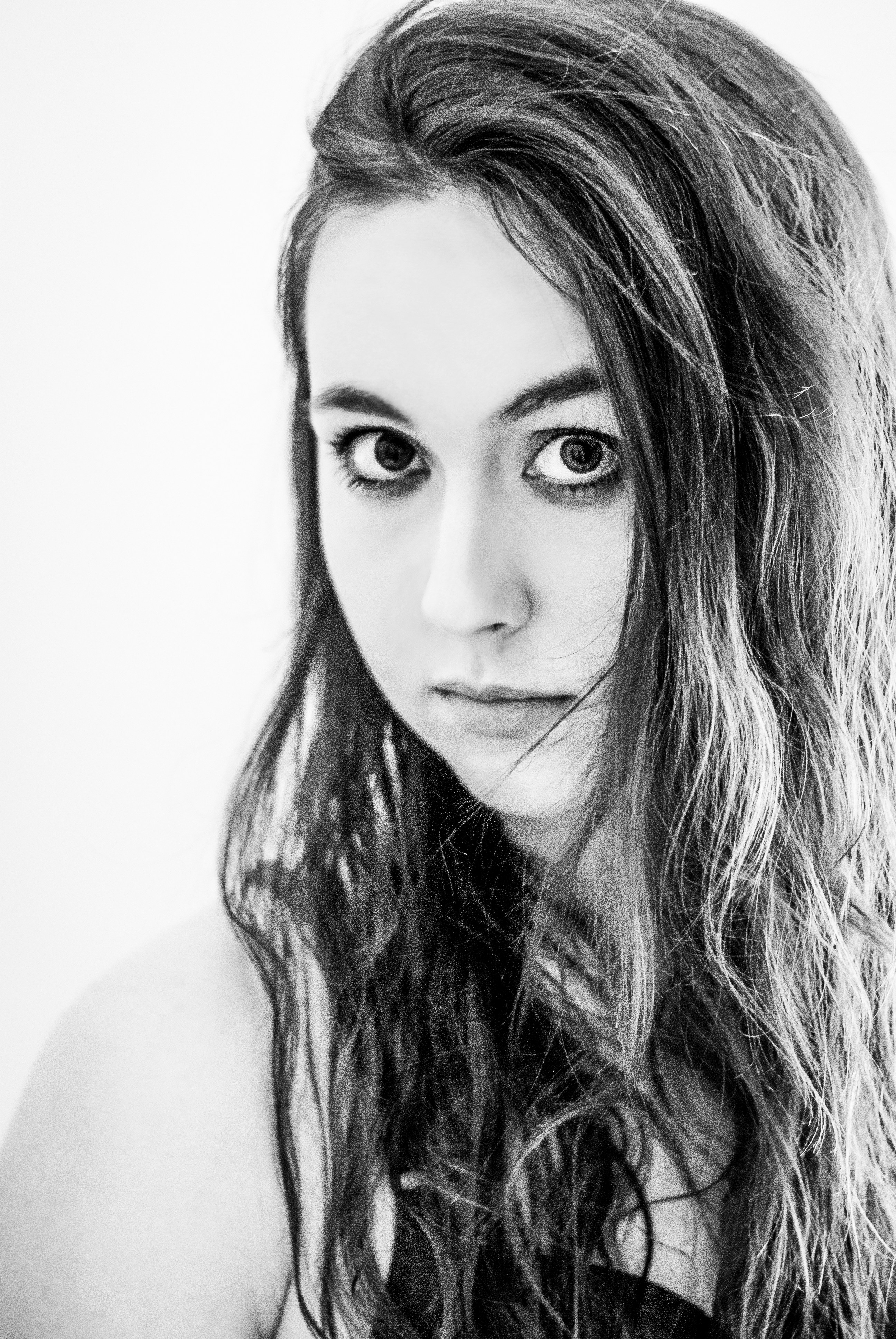 Free Unsplash photo from Shay Carlson