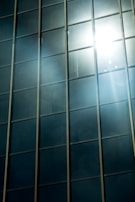 Bright office windows with solar film reducing glare while letting in natural light.