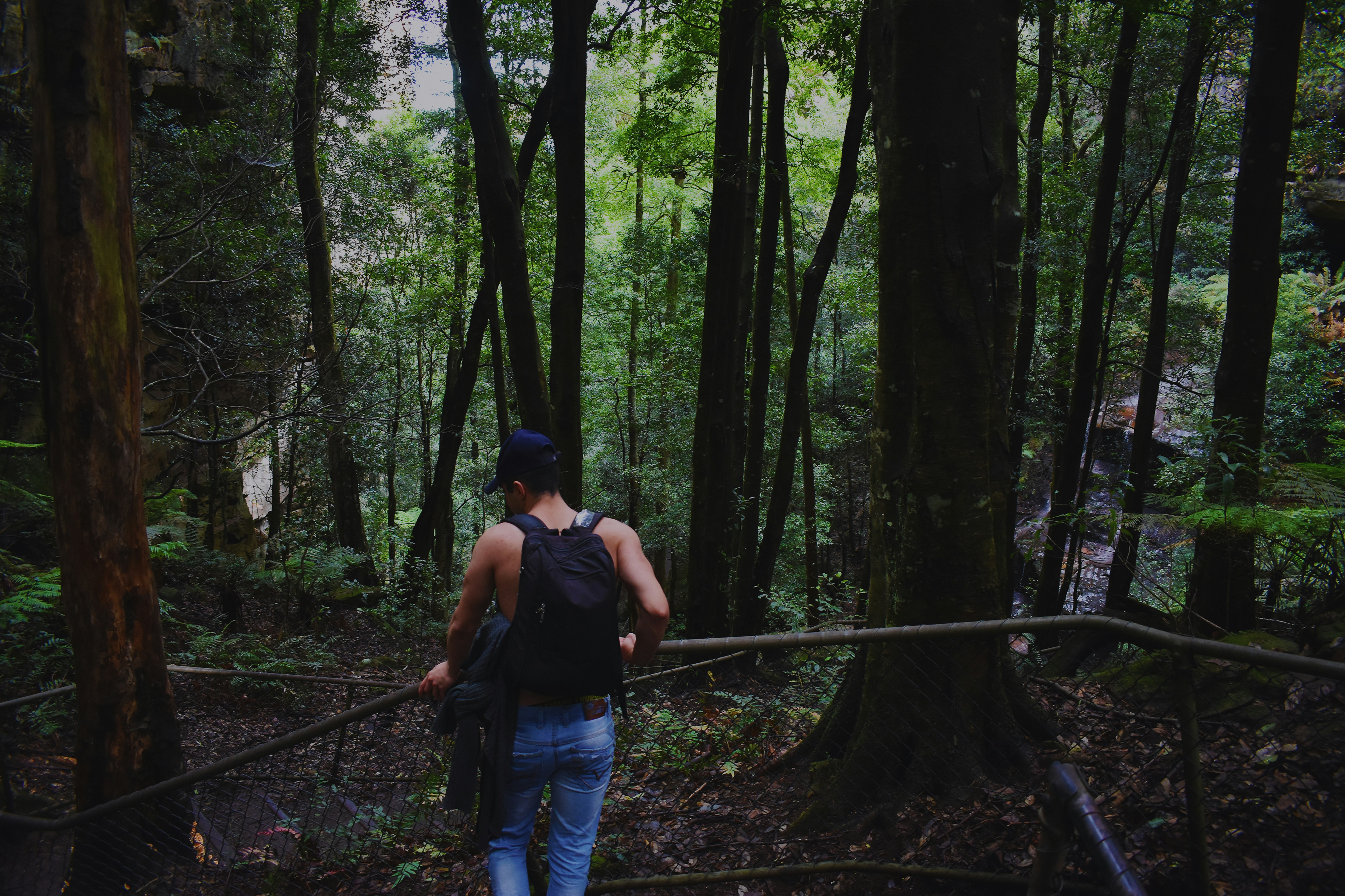 Free Unsplash photo from RJ wolf