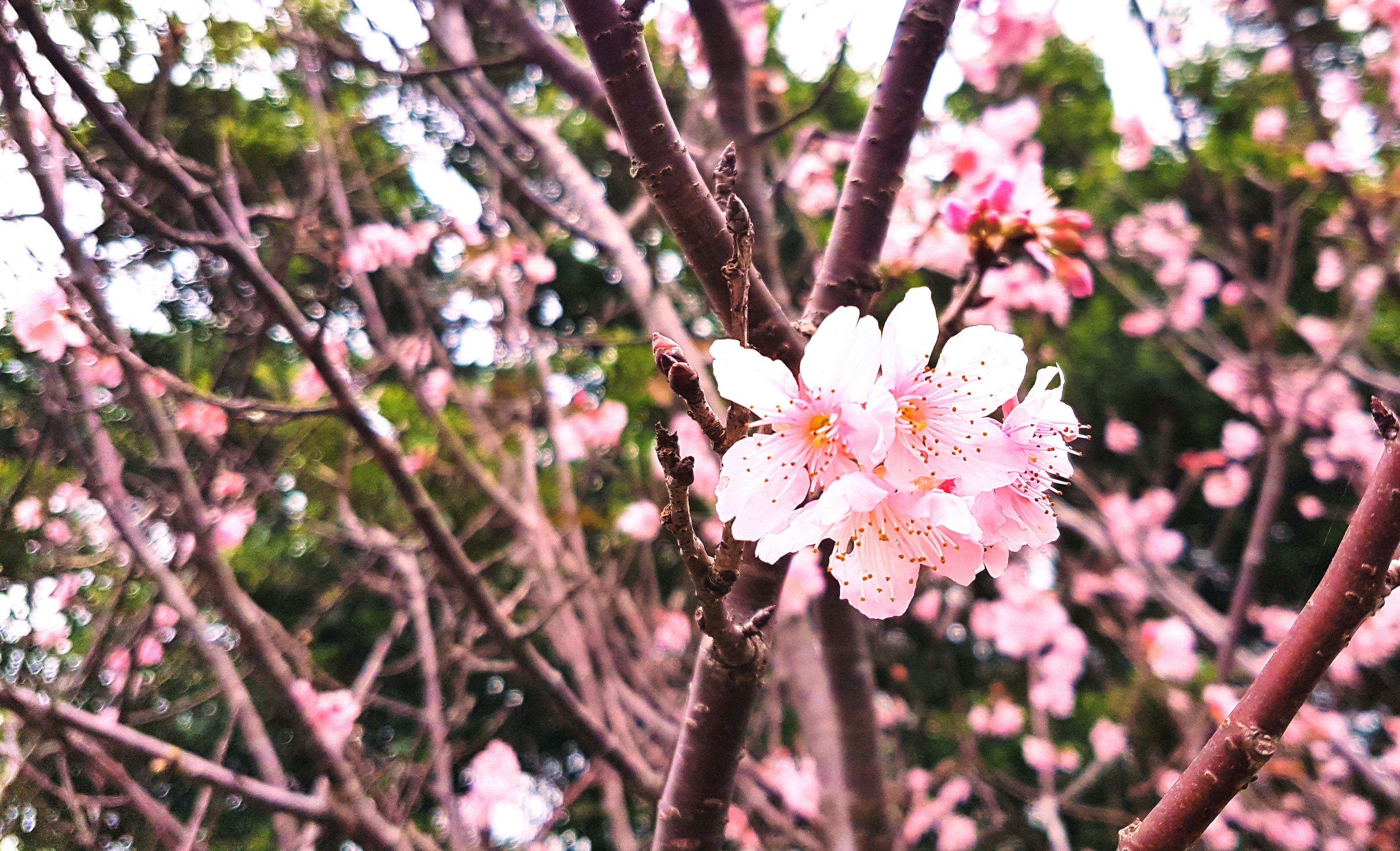 Free Unsplash photo from shunhe chang