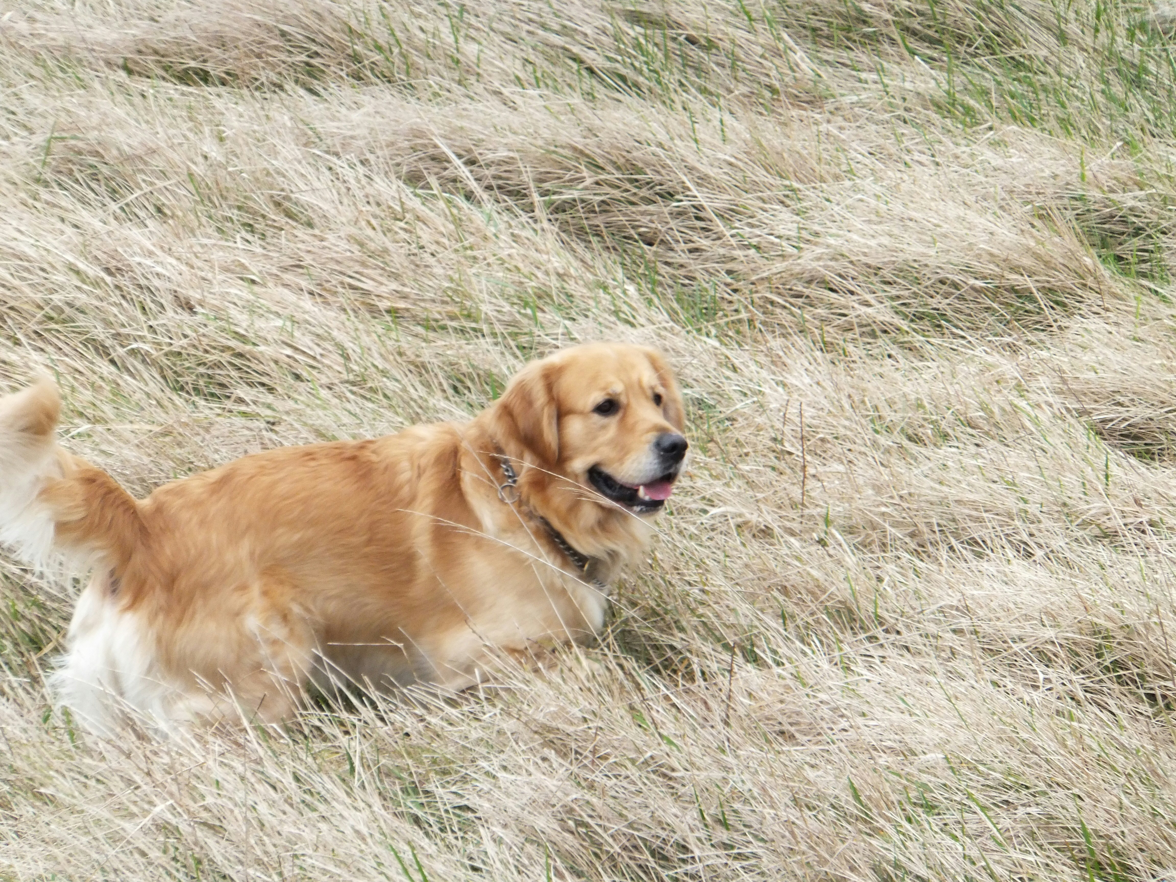 Free Unsplash photo from Chris Wilson