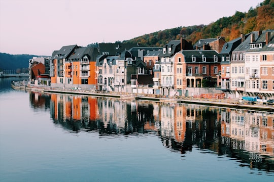 assorted-color of houses near lake in Dinant Belgium