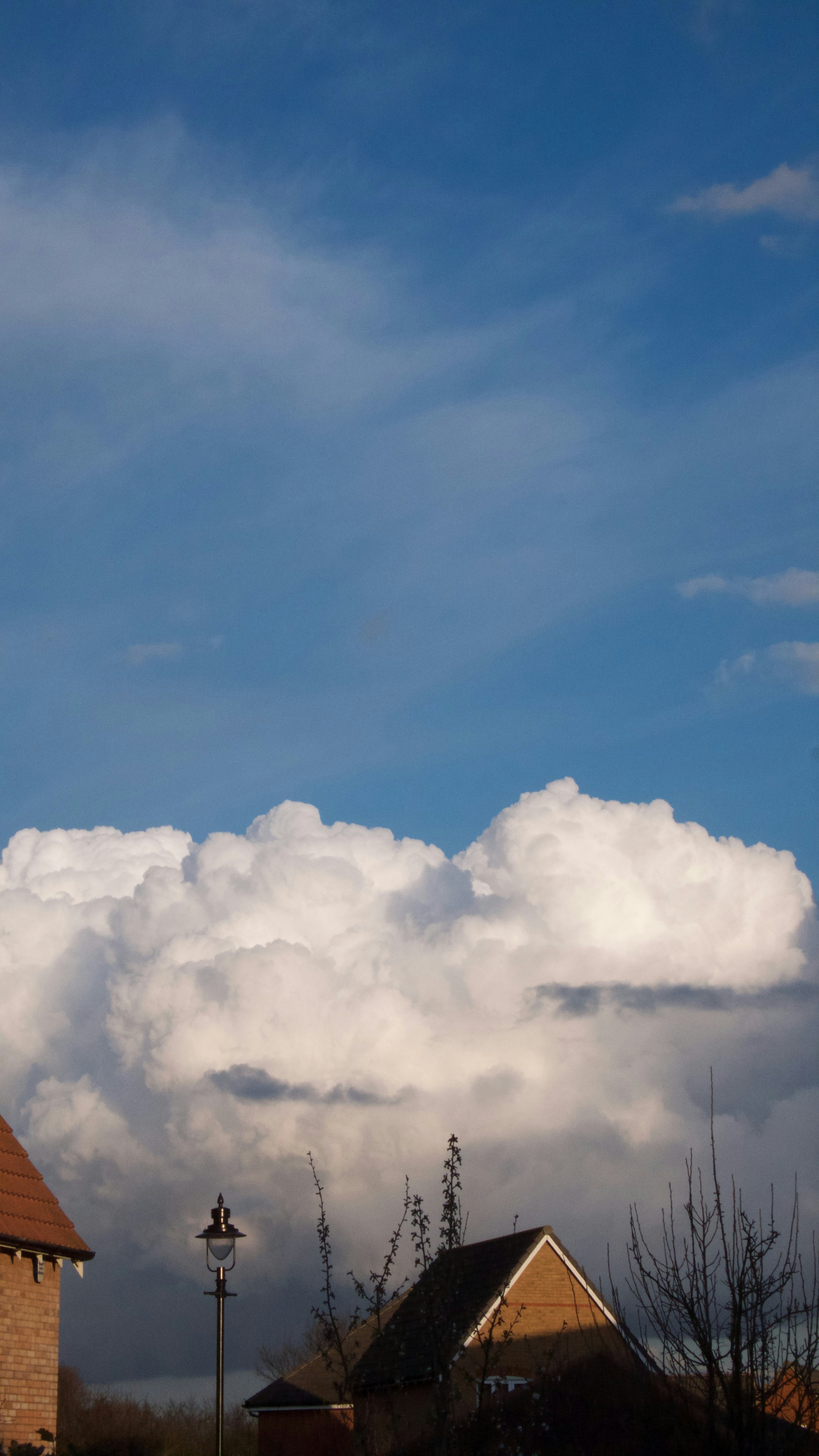 Free Unsplash photo from Phil McCrack