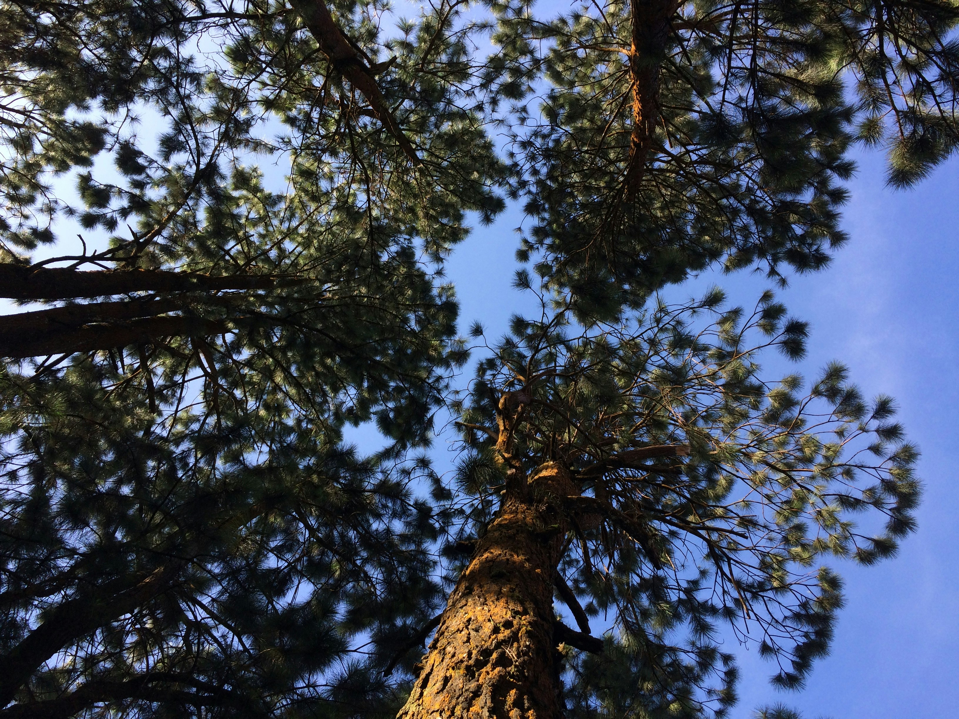 Free Unsplash photo from Wai Chung C