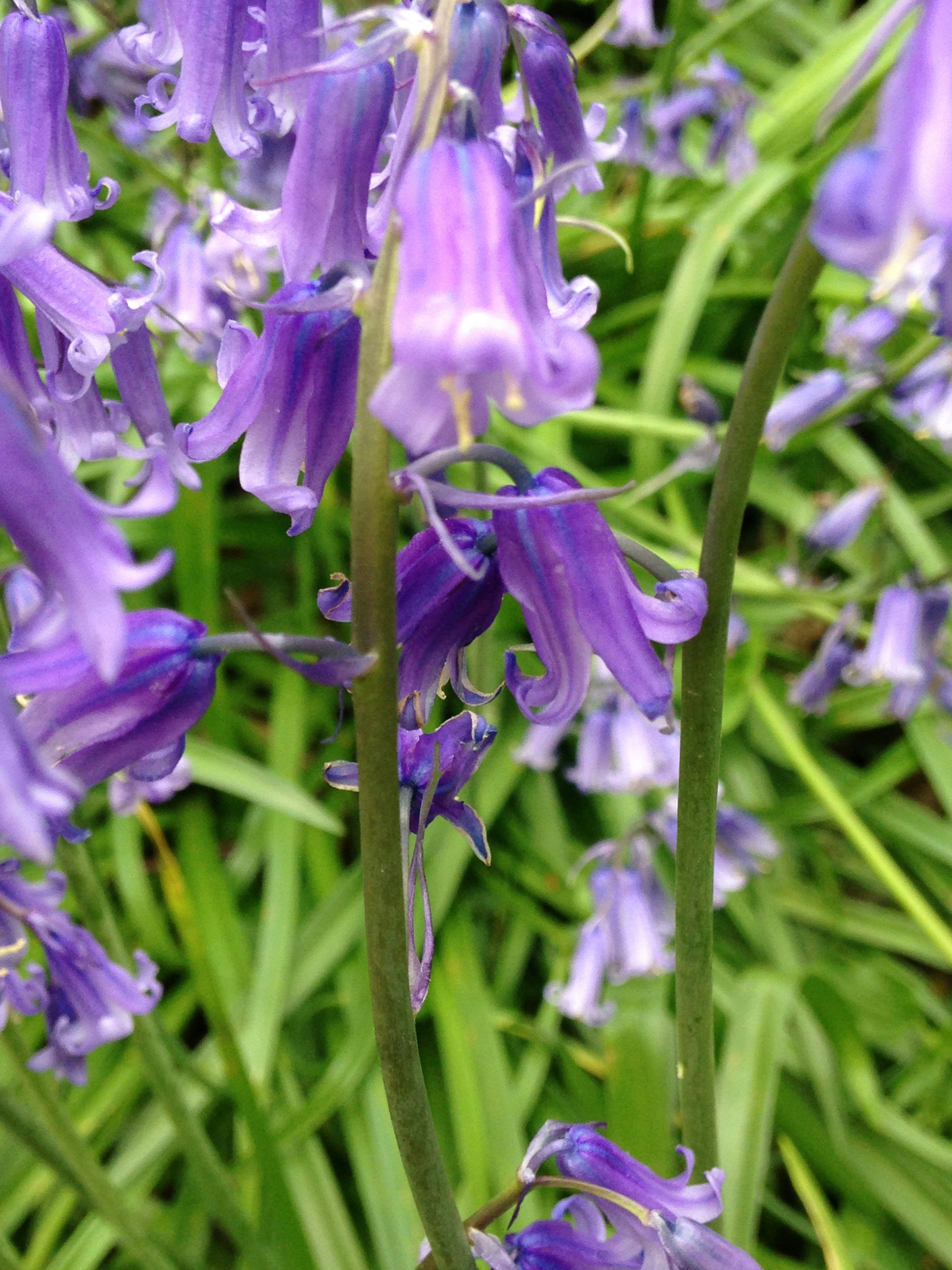 Free Unsplash photo from Amanda Steward