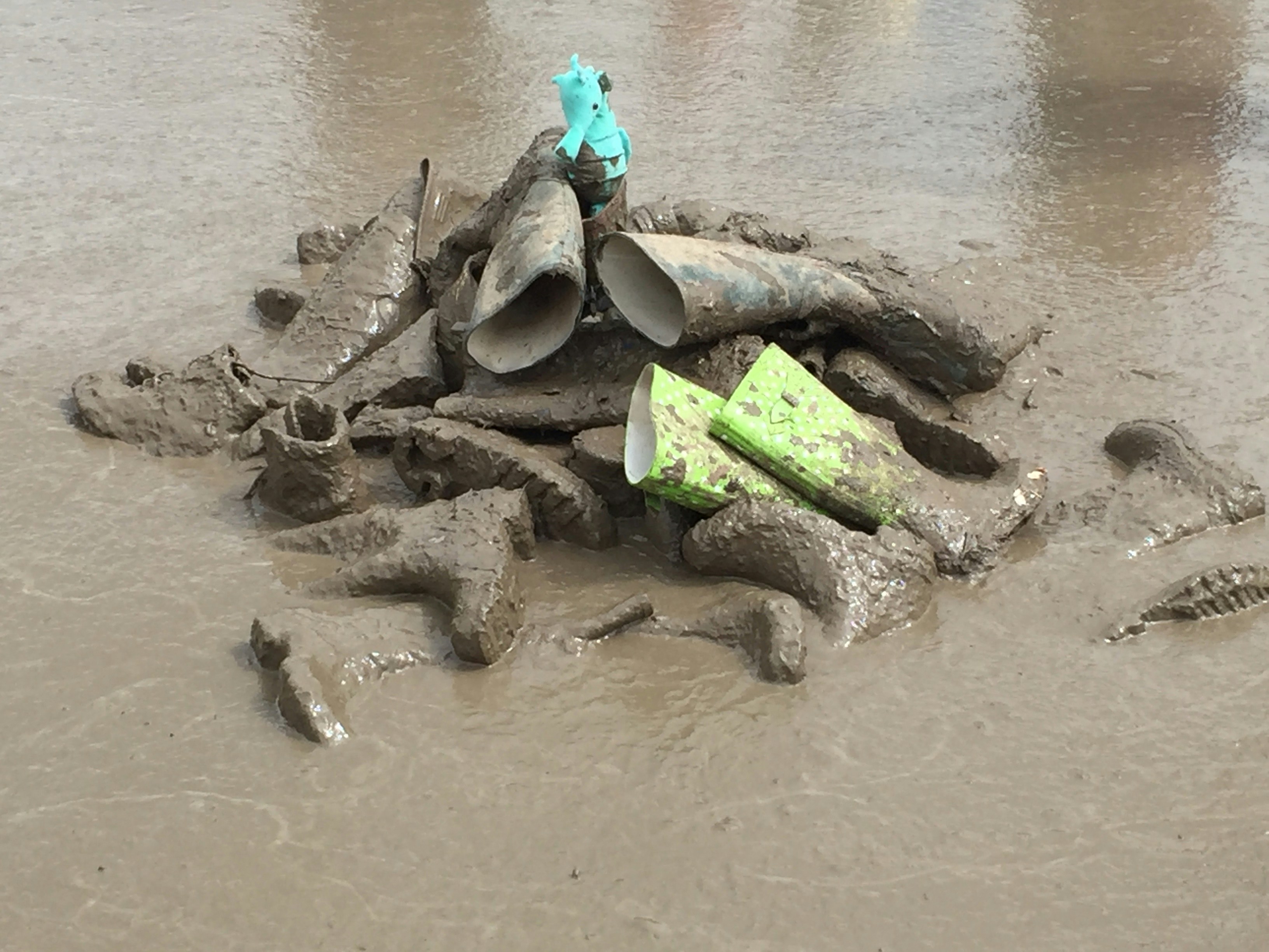 Free Unsplash photo from Amanda Steward